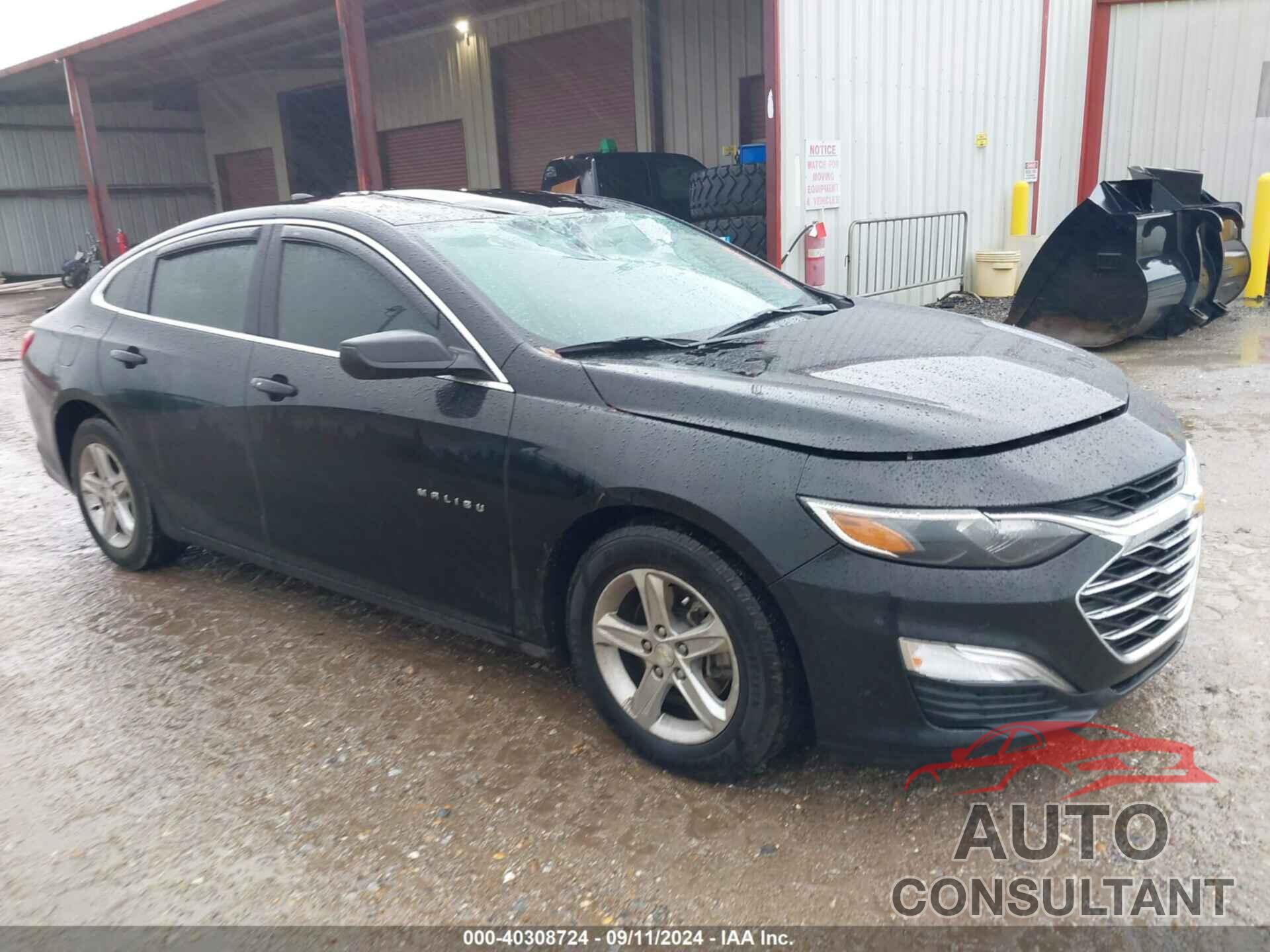 CHEVROLET MALIBU 2019 - 1G1ZB5ST5KF142861