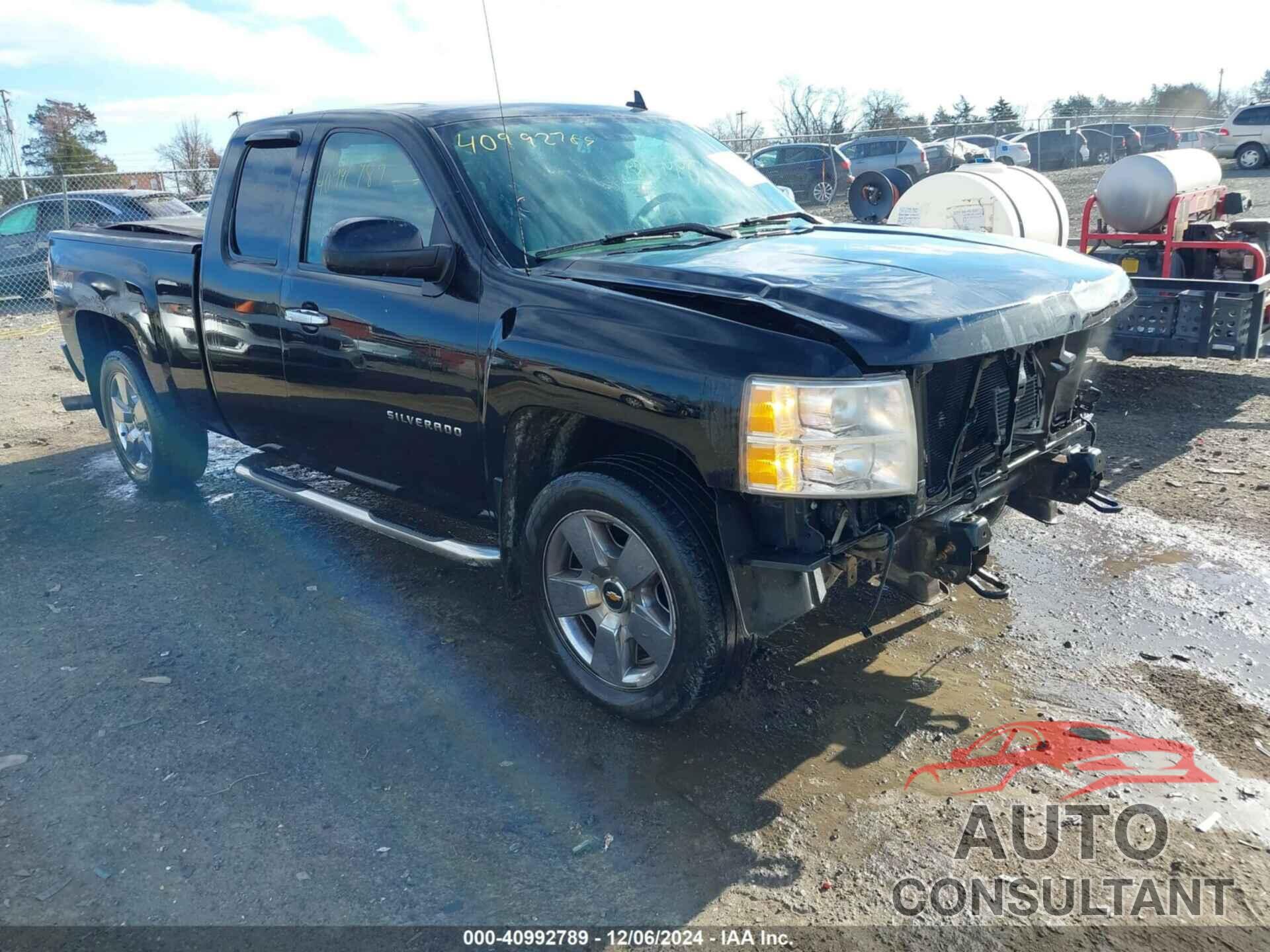 CHEVROLET SILVERADO 1500 2009 - 1GCEK39039Z288545