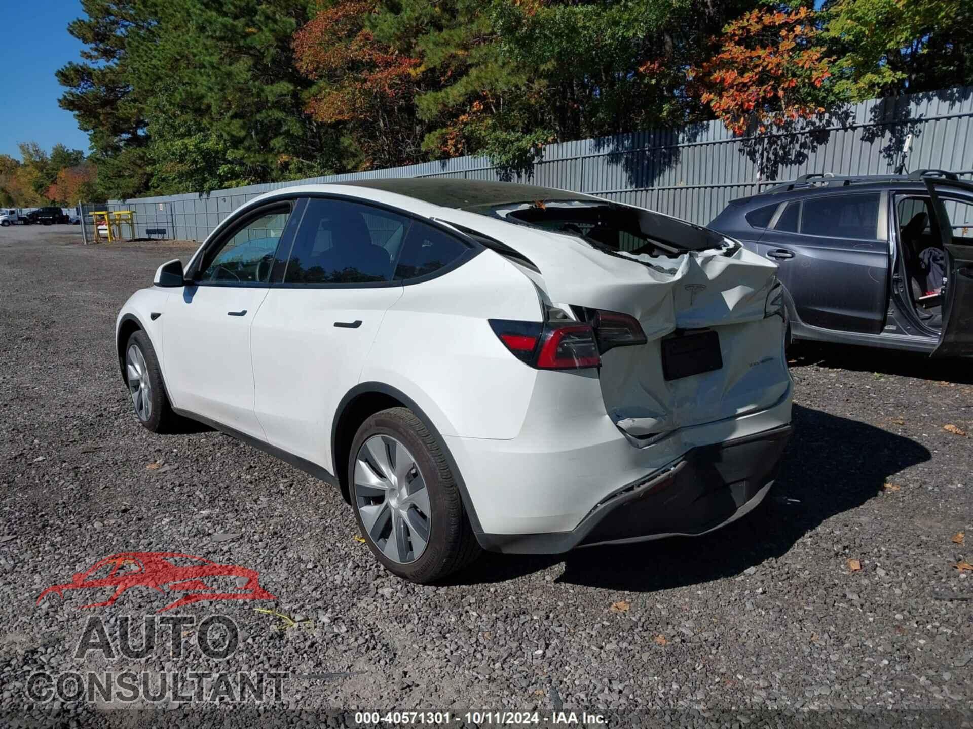 TESLA MODEL Y 2024 - 7SAYGDEE3RF007794