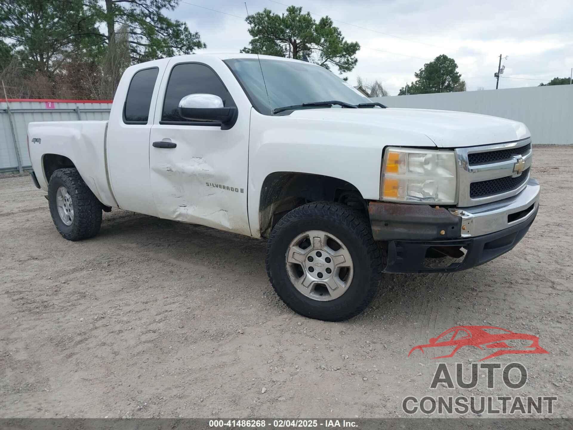 CHEVROLET SILVERADO 1500 2009 - 1GCEK19J19Z164660