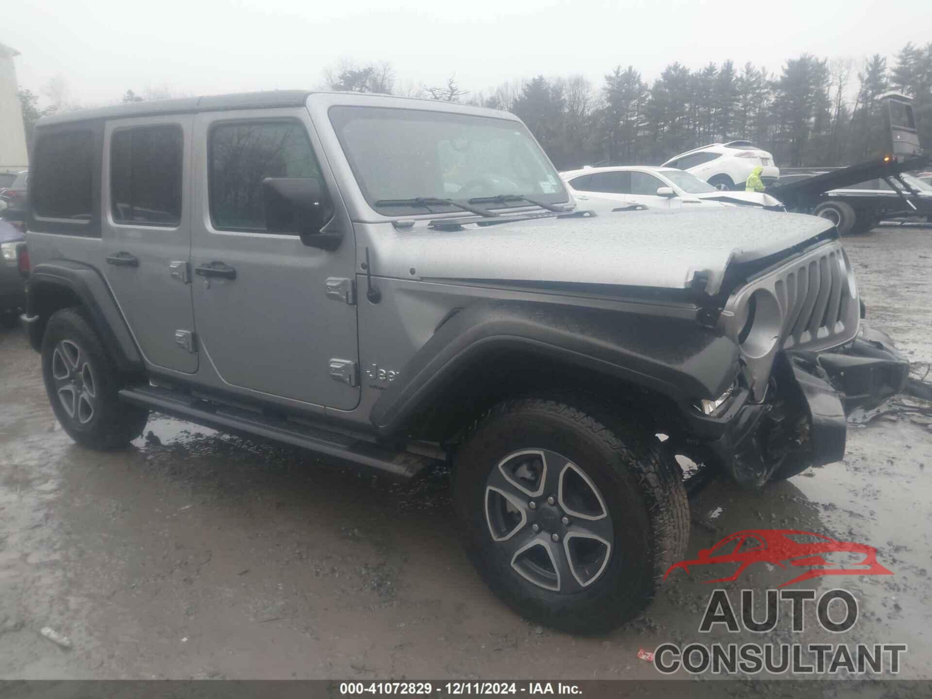 JEEP WRANGLER UNLIMITED 2020 - 1C4HJXDN9LW168896