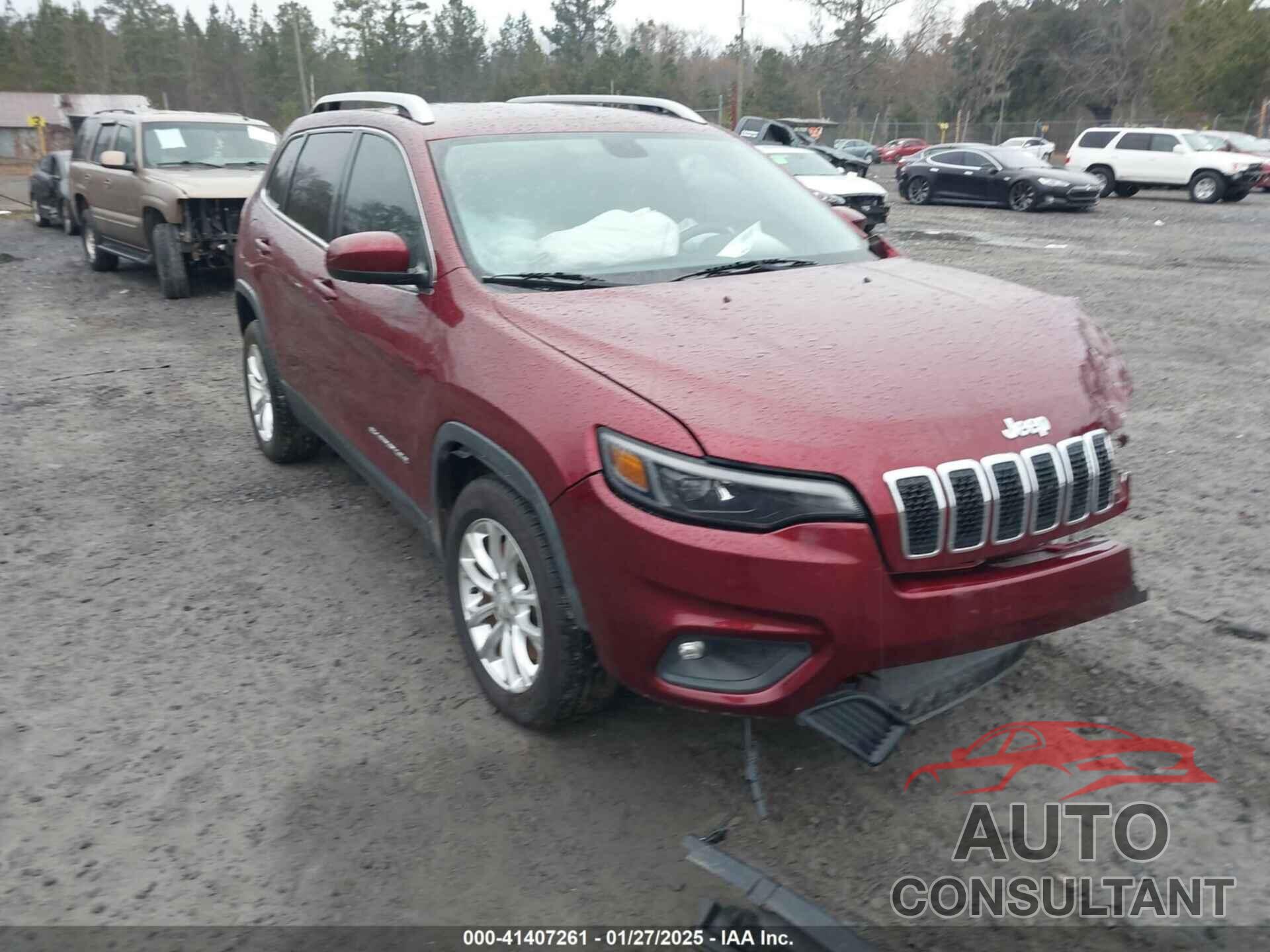 JEEP CHEROKEE 2019 - 1C4PJLCB4KD134421