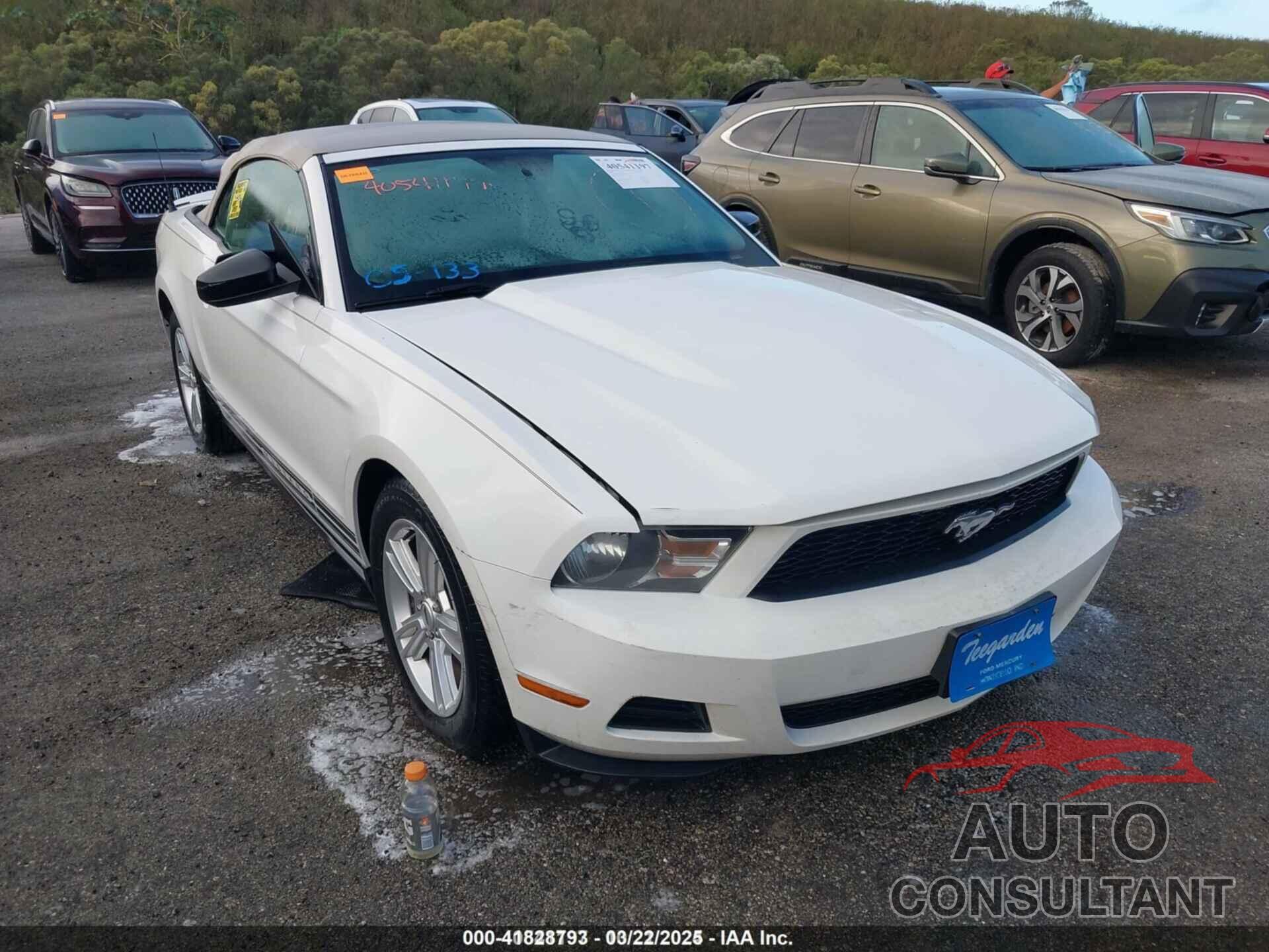 FORD MUSTANG 2010 - 1ZVBP8EN8A5177825