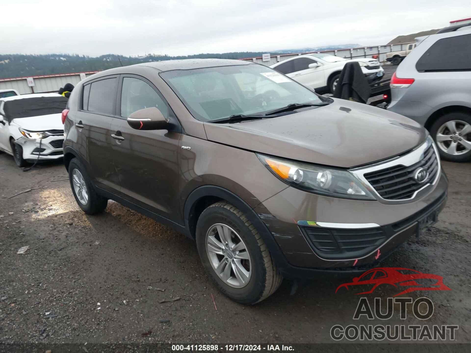 KIA SPORTAGE 2011 - KNDPBCA27B7098528