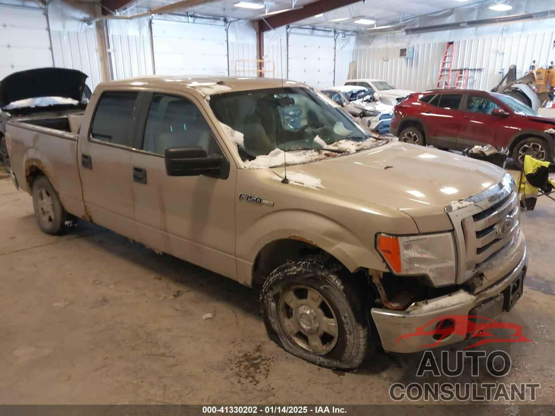 FORD F-150 2010 - 1FTFW1EV4AFD36638