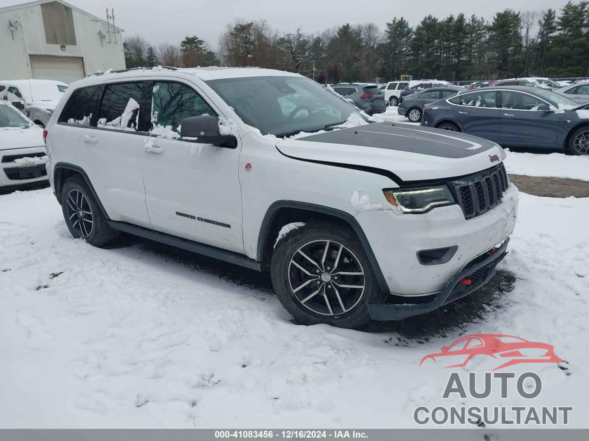 JEEP GRAND CHEROKEE 2017 - 1C4RJFLG4HC648225