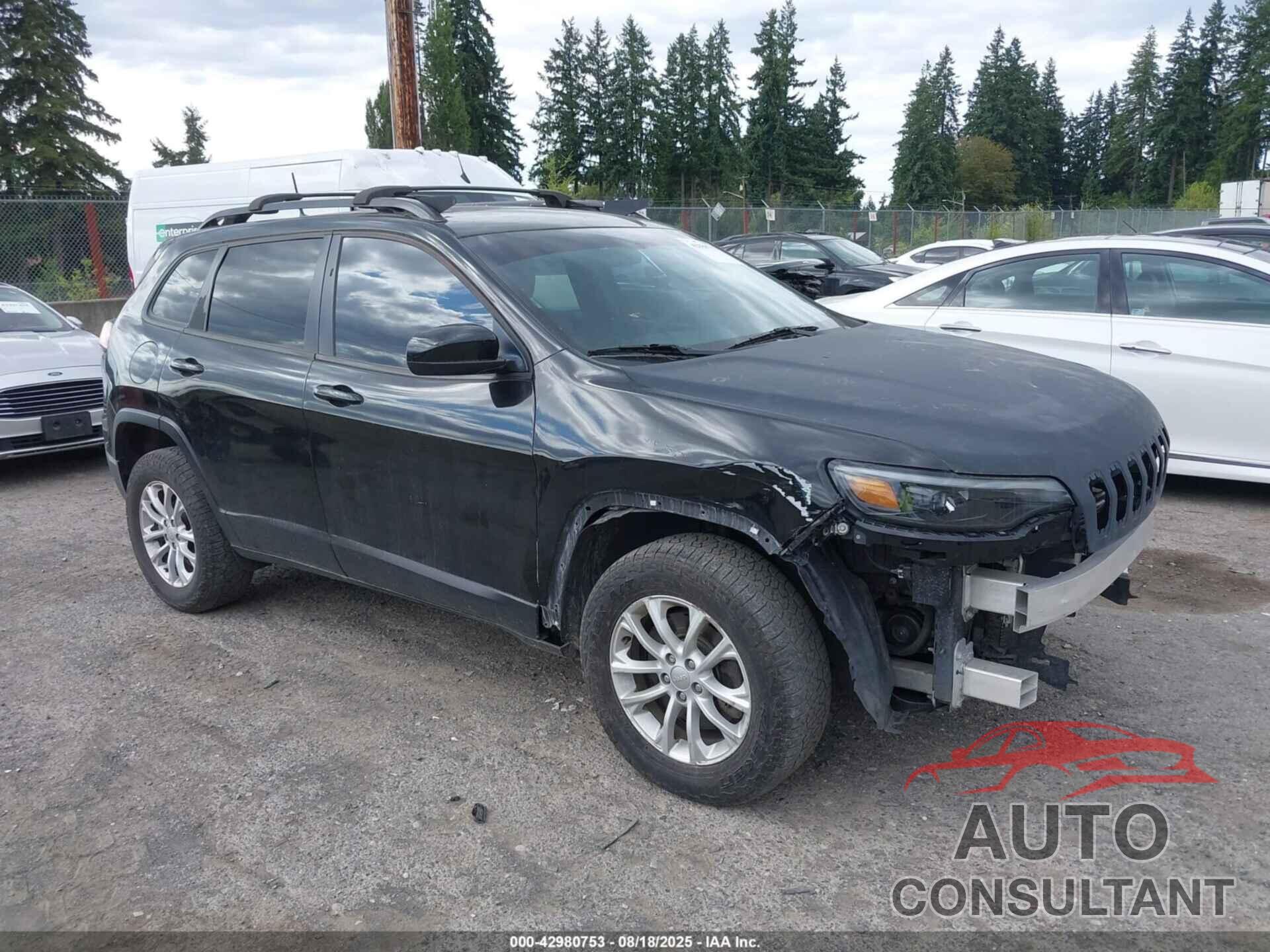 JEEP CHEROKEE 2020 - 1C4PJLCB9LD561417