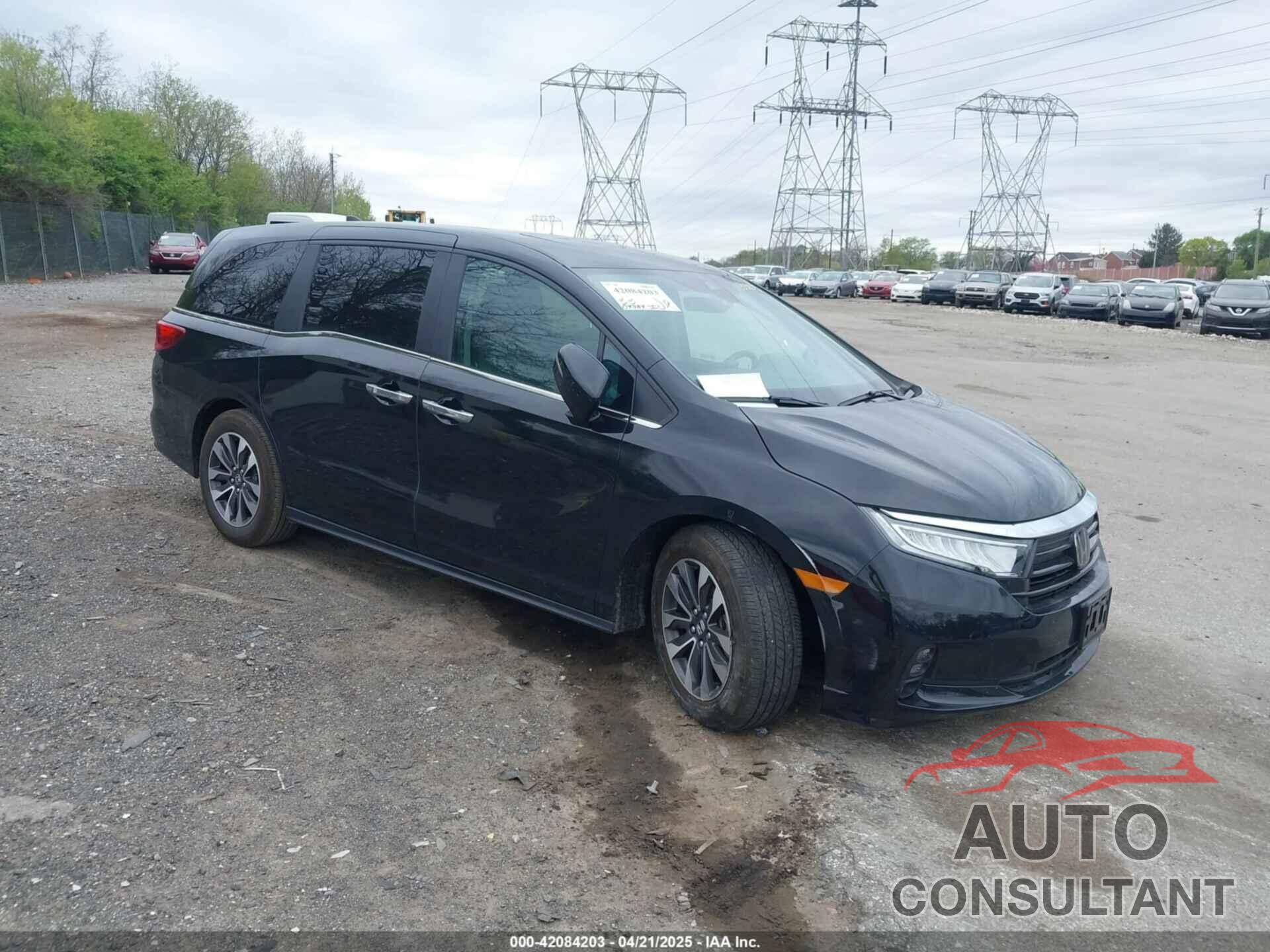 HONDA ODYSSEY 2024 - 5FNRL6H64RB055401