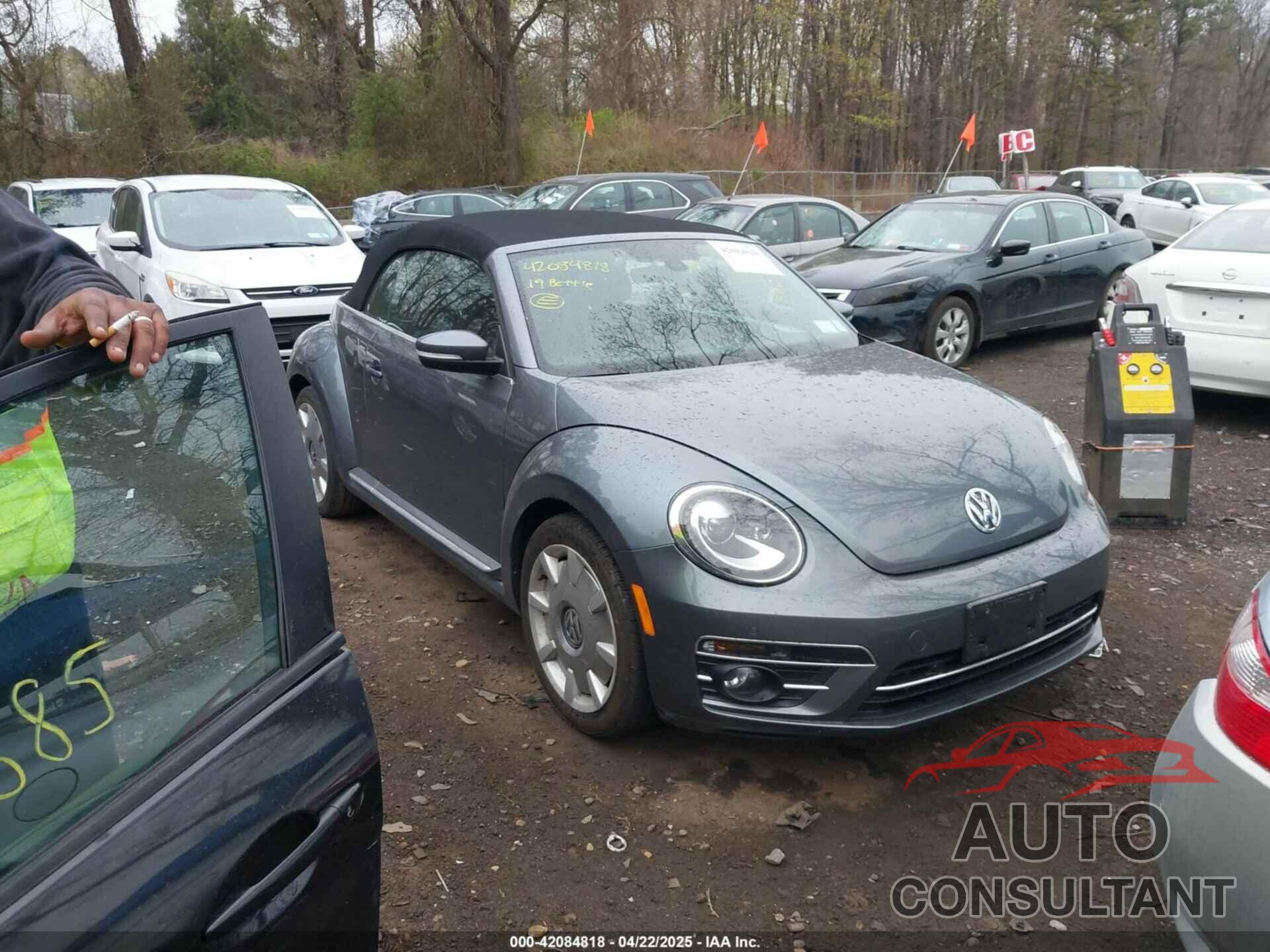 VOLKSWAGEN BEETLE 2019 - 3VW5DAAT6KM505210