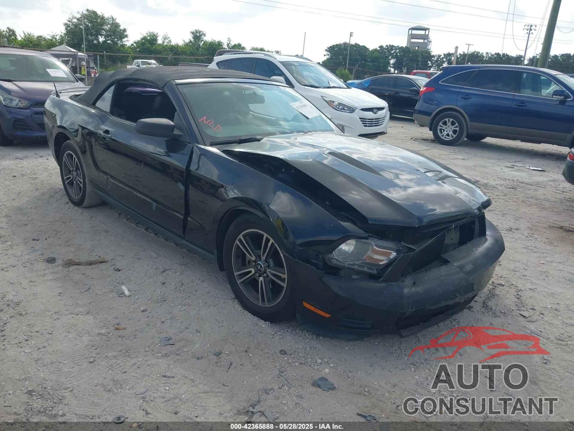 FORD MUSTANG 2010 - 1ZVBP8EN8A5167067