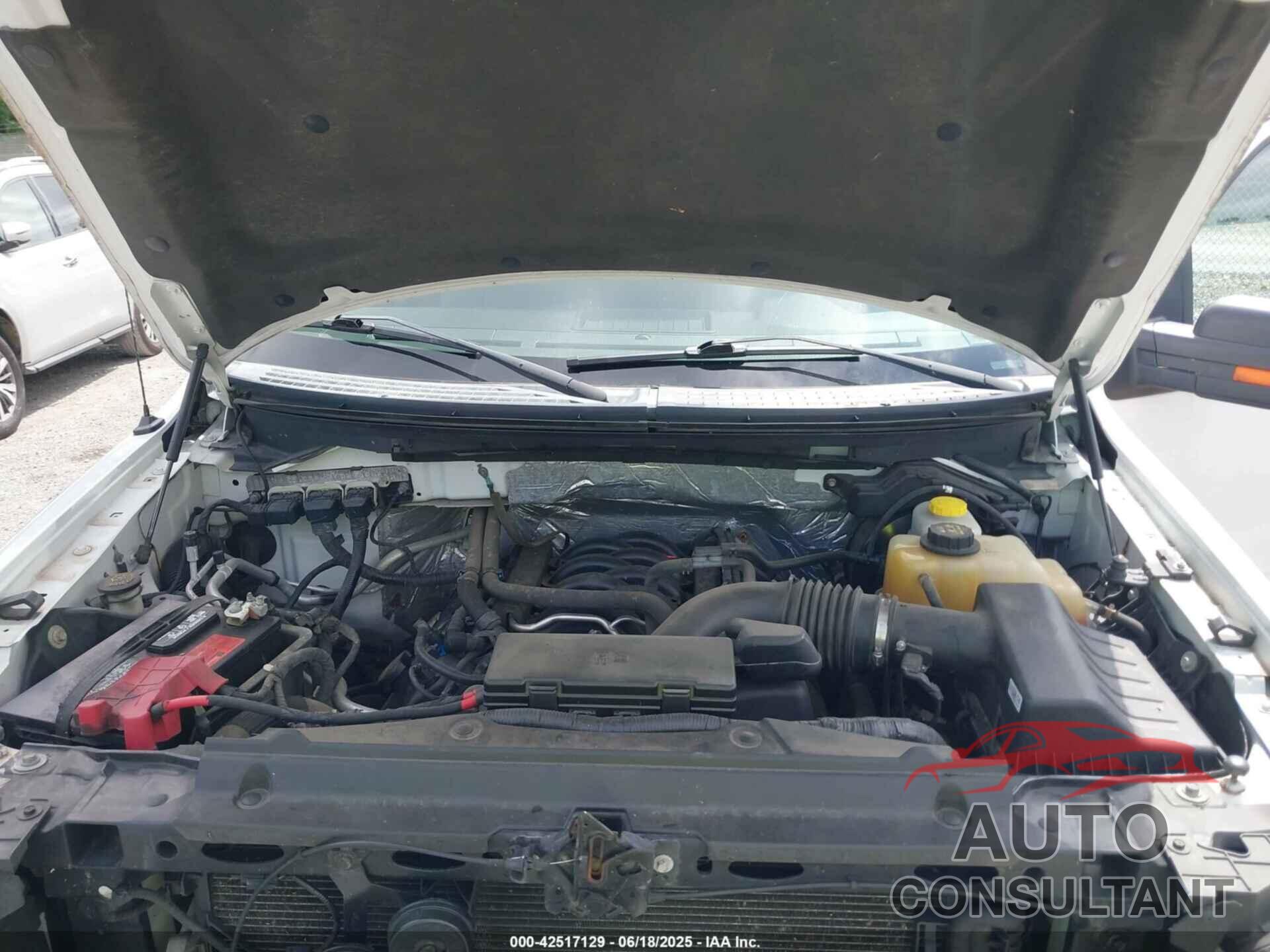 FORD F-150 2014 - 1FTFX1EF5EFA91747