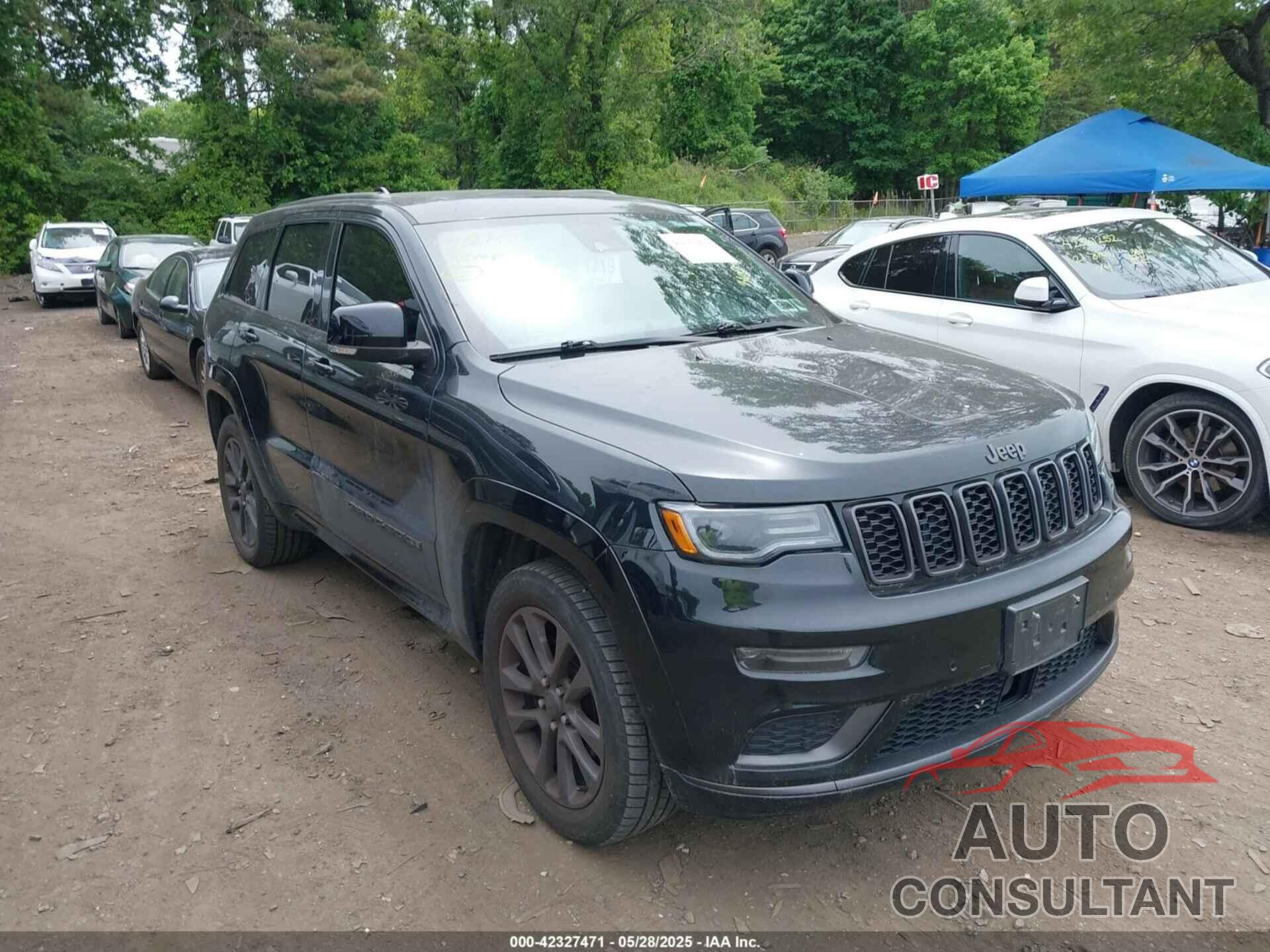 JEEP GRAND CHEROKEE 2019 - 1C4RJFCG6KC834369