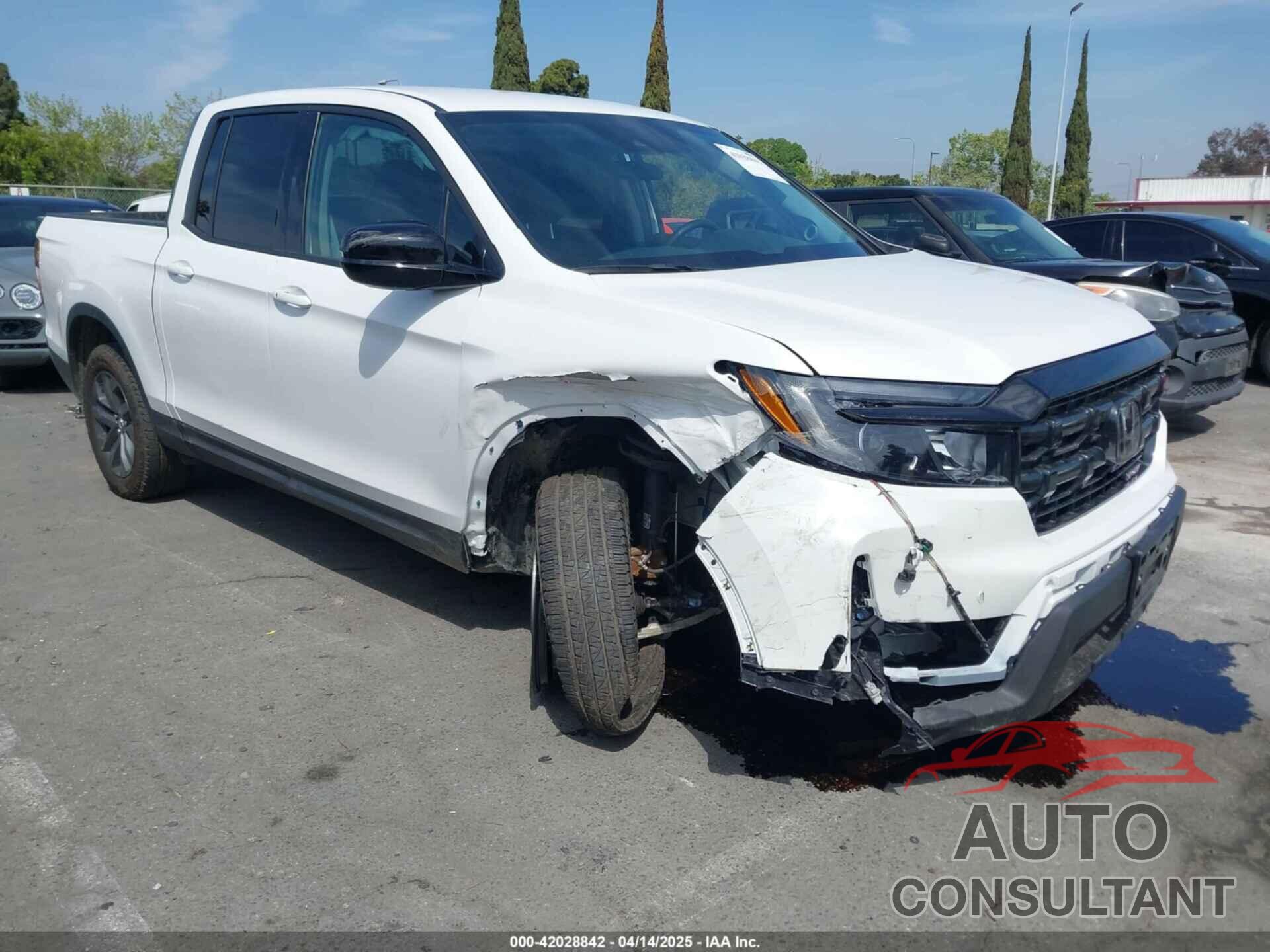 HONDA RIDGELINE 2025 - 5FPYK3F12SB001855
