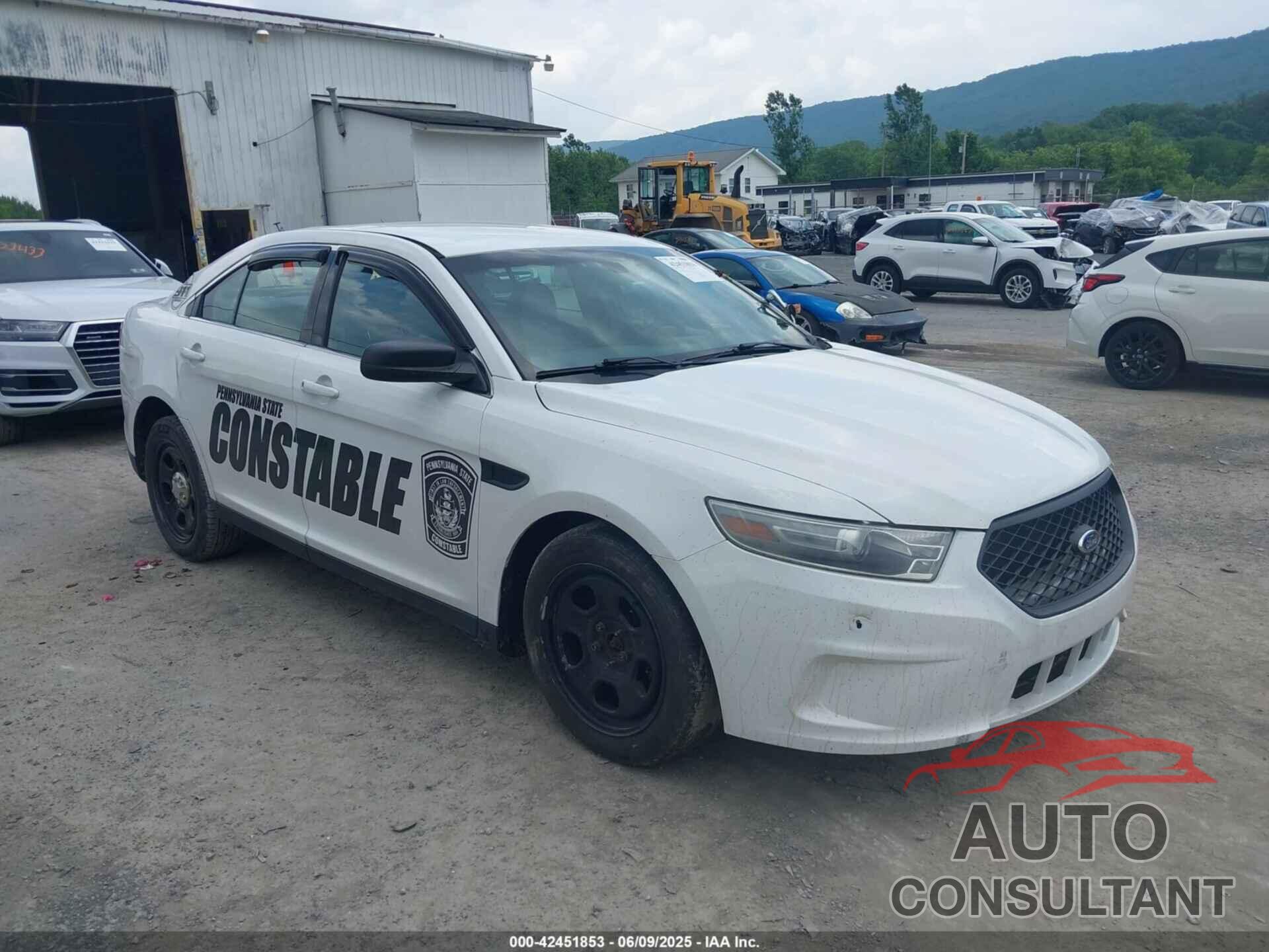 FORD POLICE INTERCEPTOR 2013 - 1FAHP2MK9DG199882