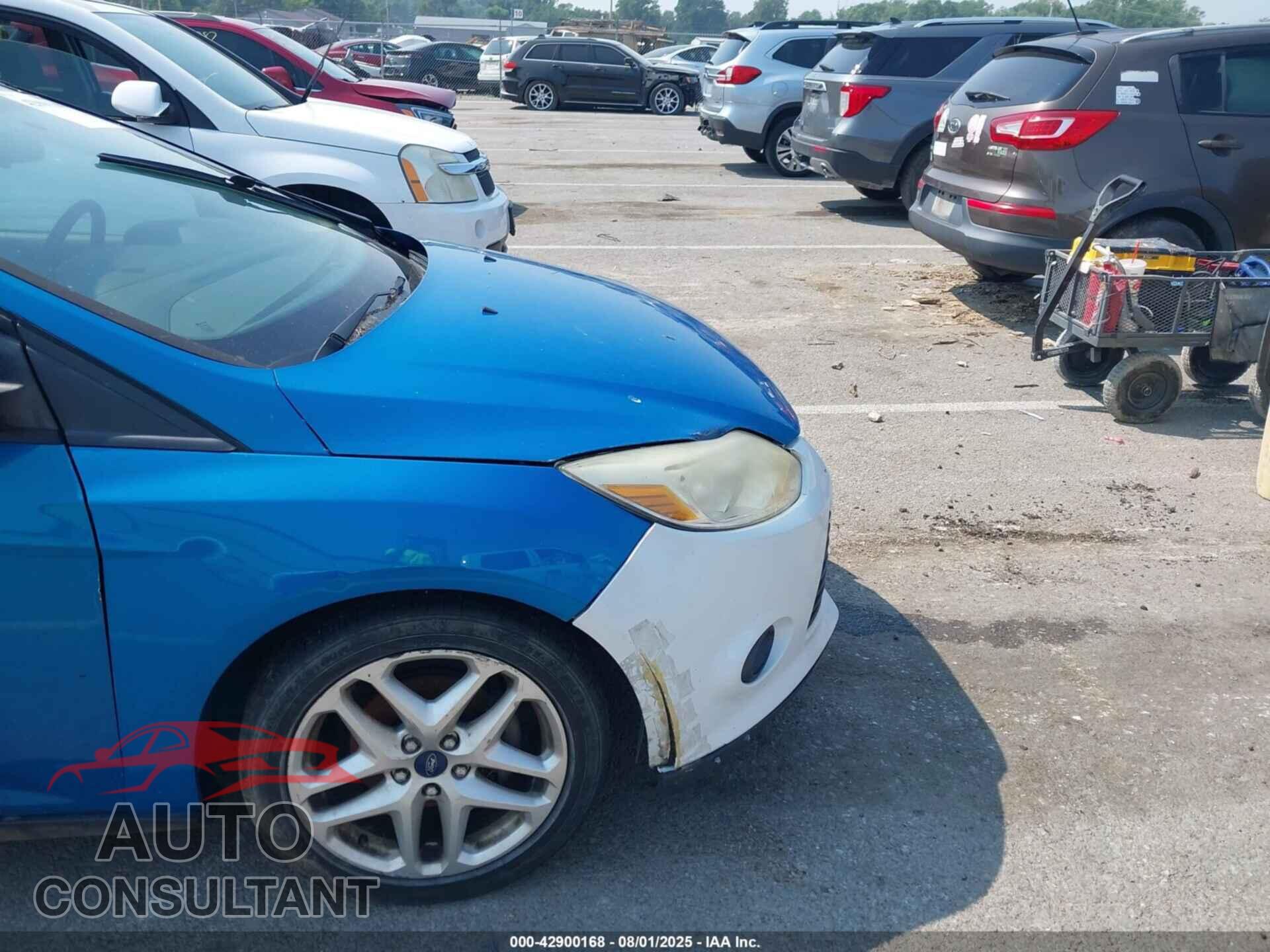 FORD FOCUS 2014 - 1FADP3F25EL174519