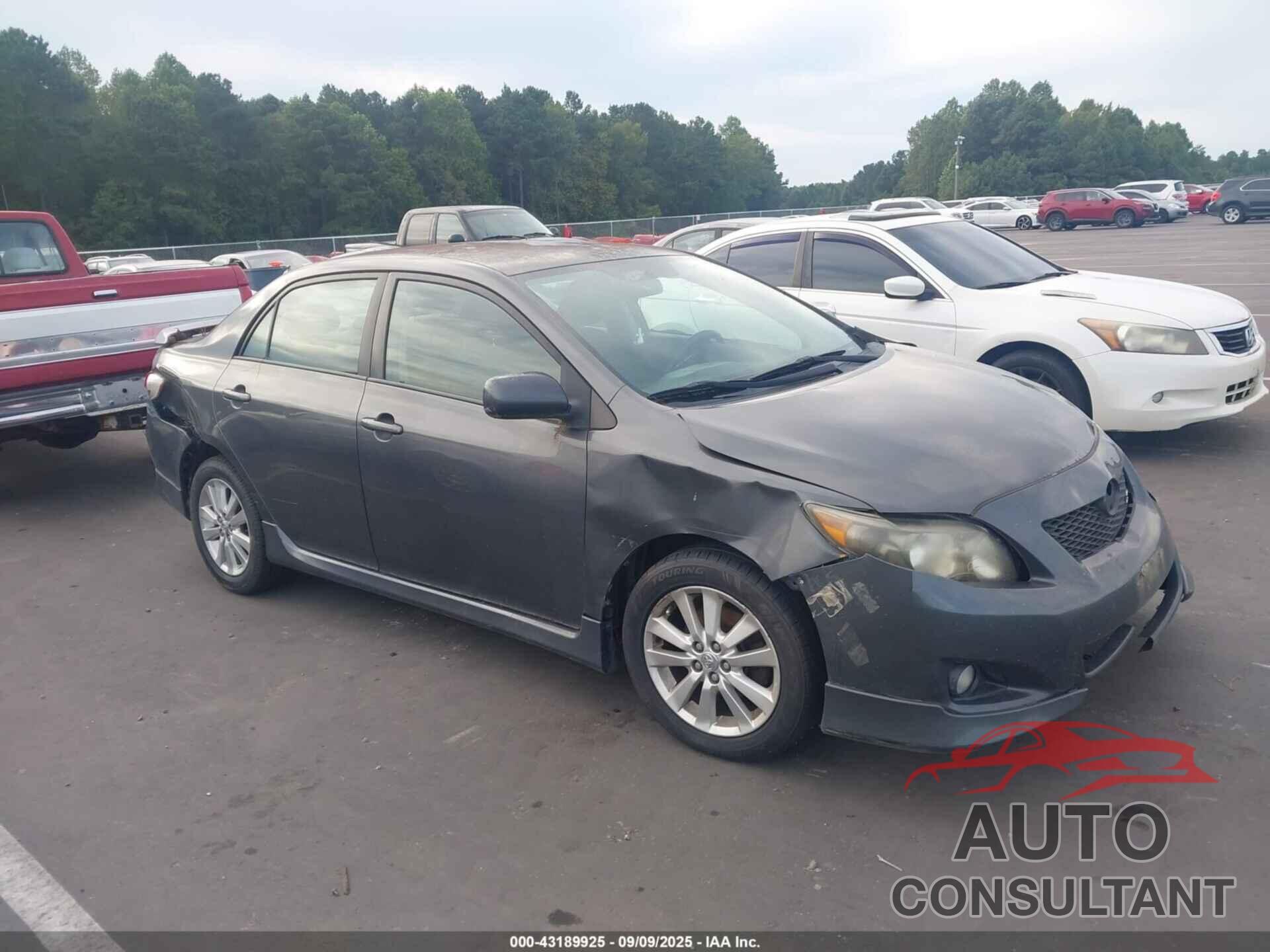 TOYOTA COROLLA 2010 - 2T1BU4EEXAC224652