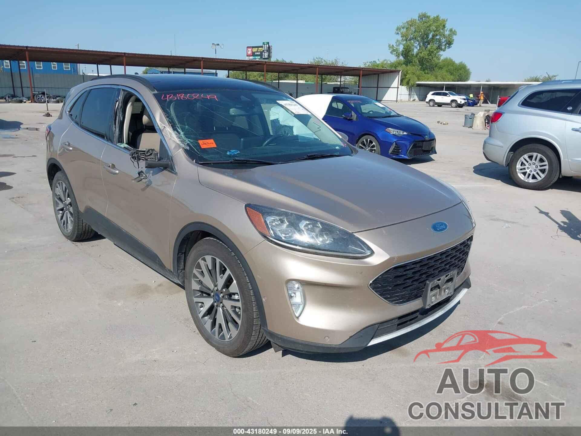 FORD ESCAPE 2020 - 1FMCU0DZ5LUC40454