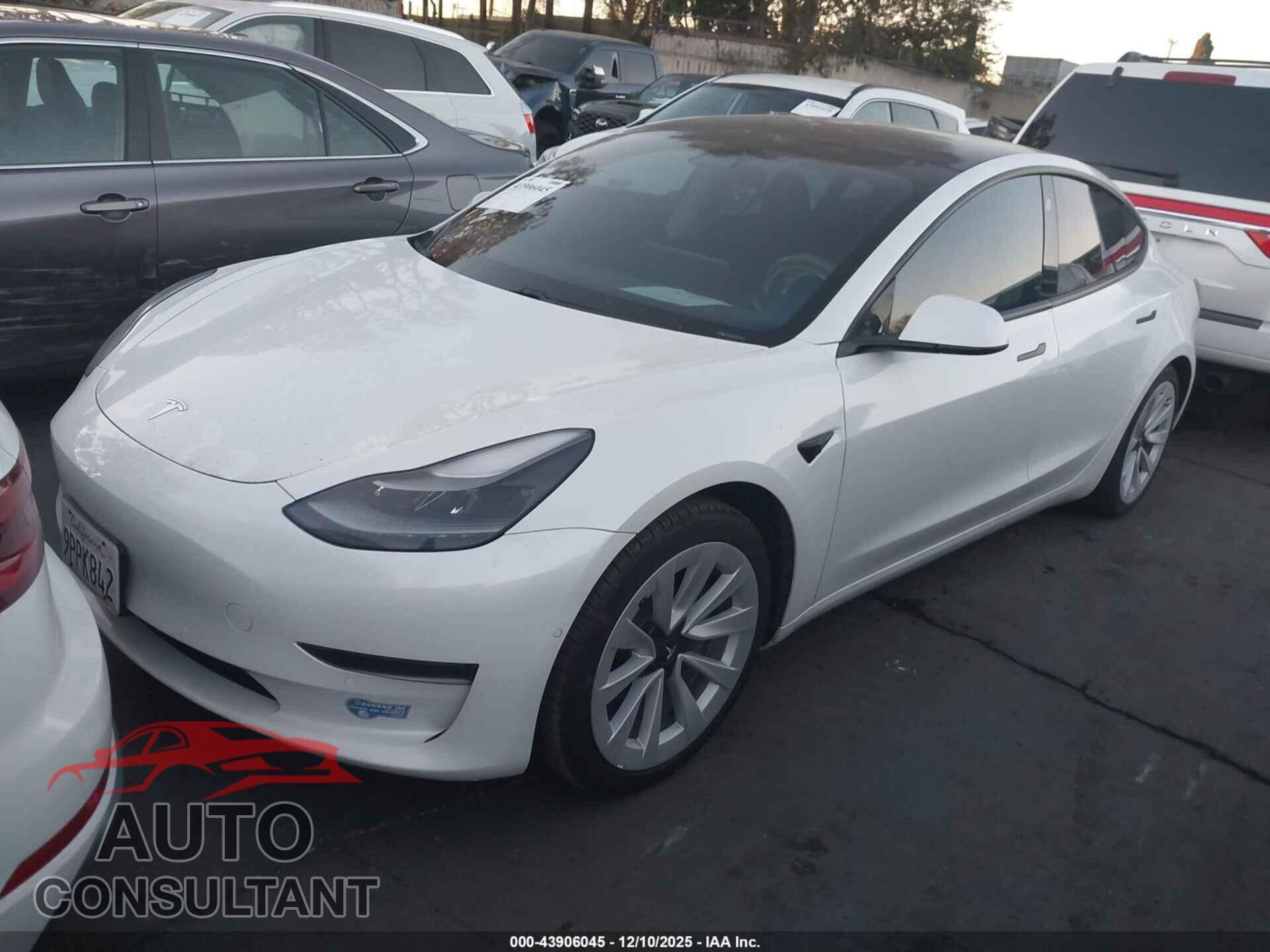 TESLA MODEL 3 2021 - 5YJ3E1EA1MF065954