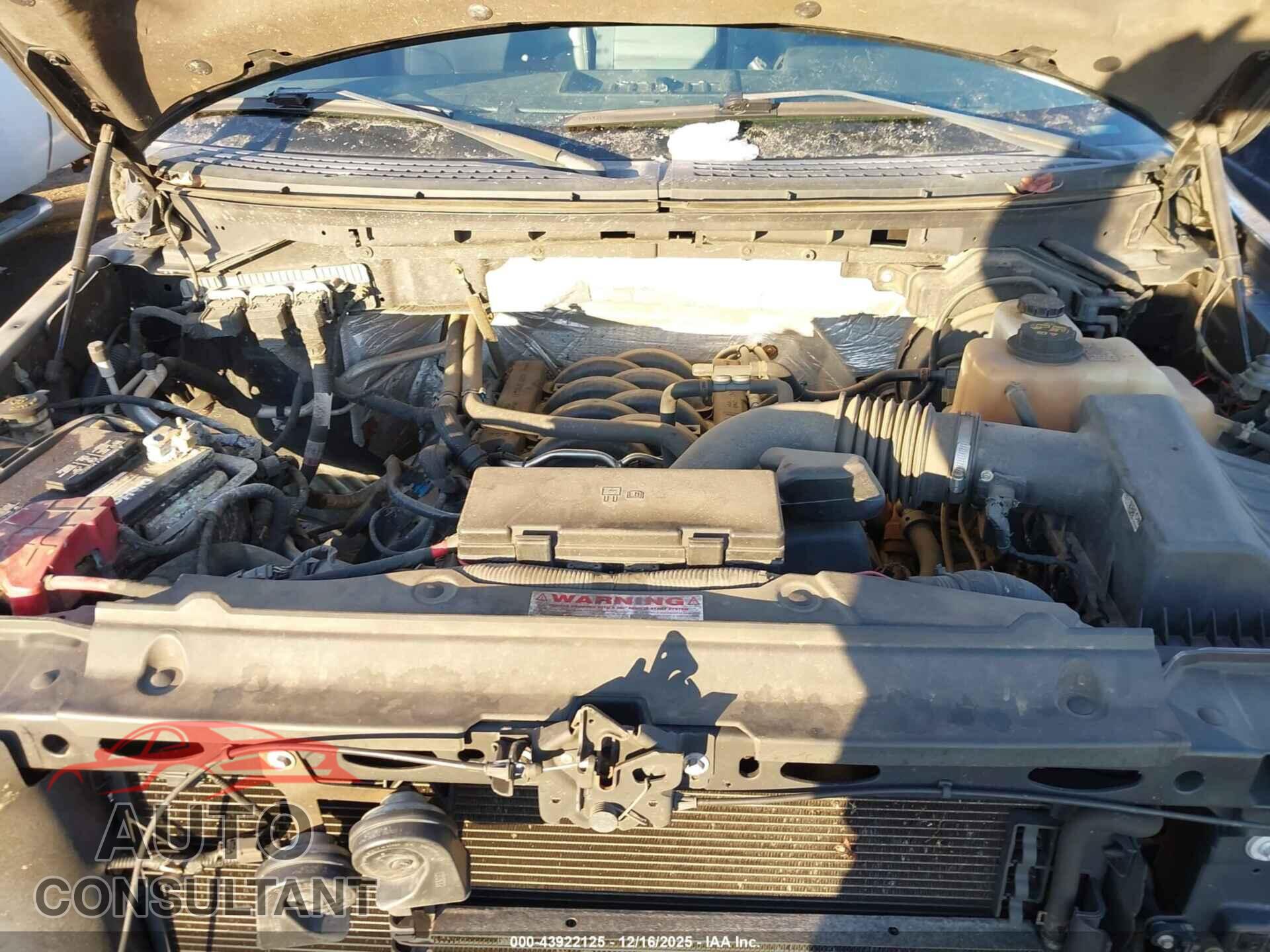 FORD F-150 2013 - 1FTFX1EF2DFA11884