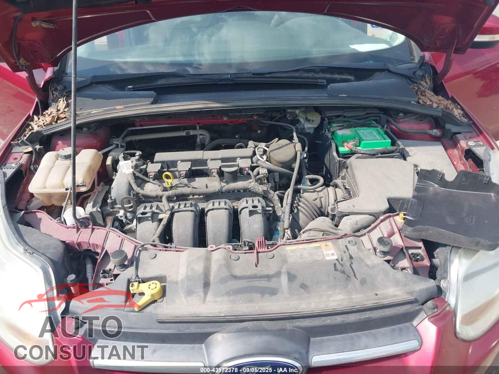 FORD FOCUS 2014 - 1FADP3F28EL207951