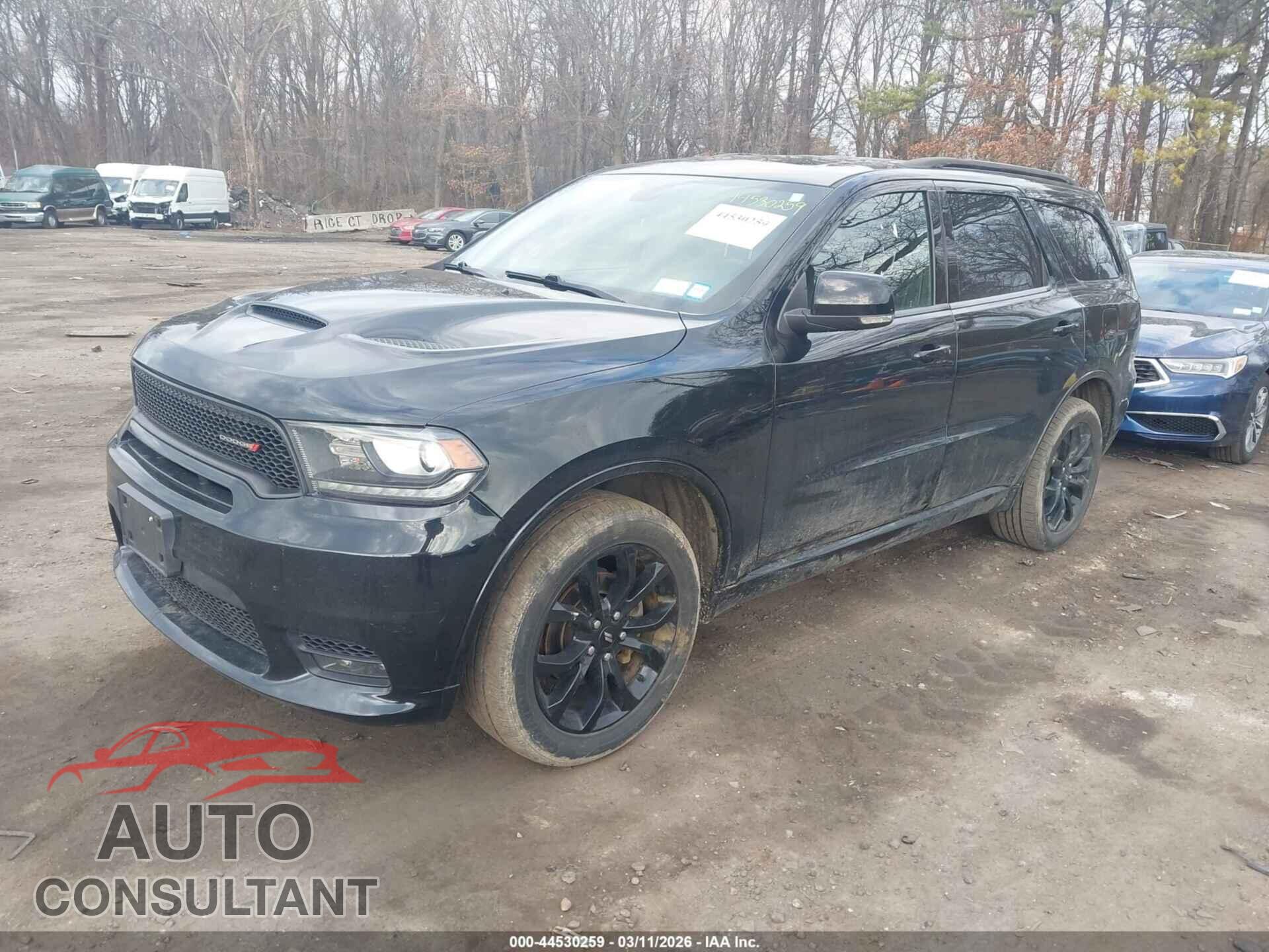 DODGE DURANGO 2019 - 1C4RDJDG8KC723377