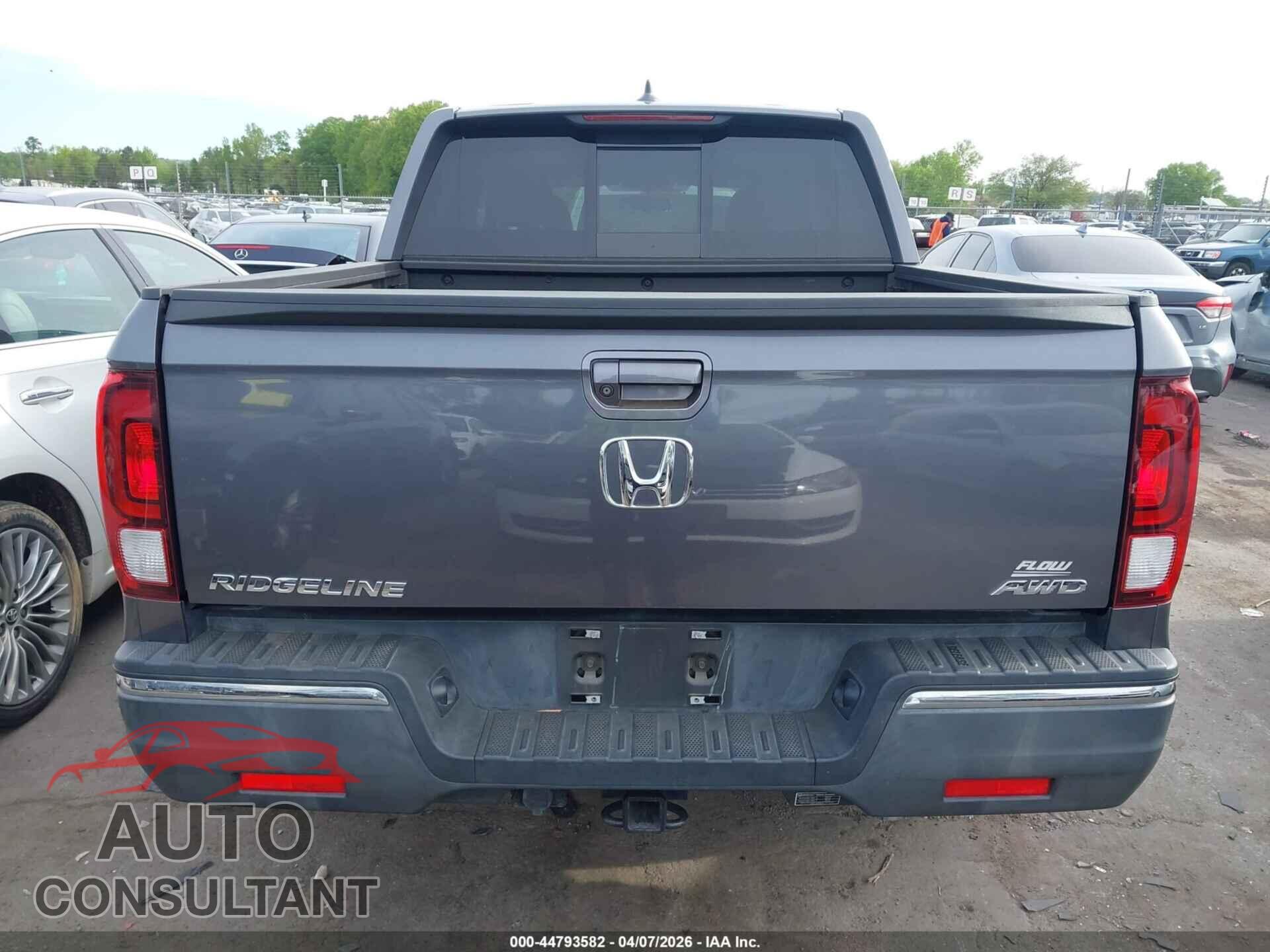 HONDA RIDGELINE 2019 - 5FPYK3F50KB043704