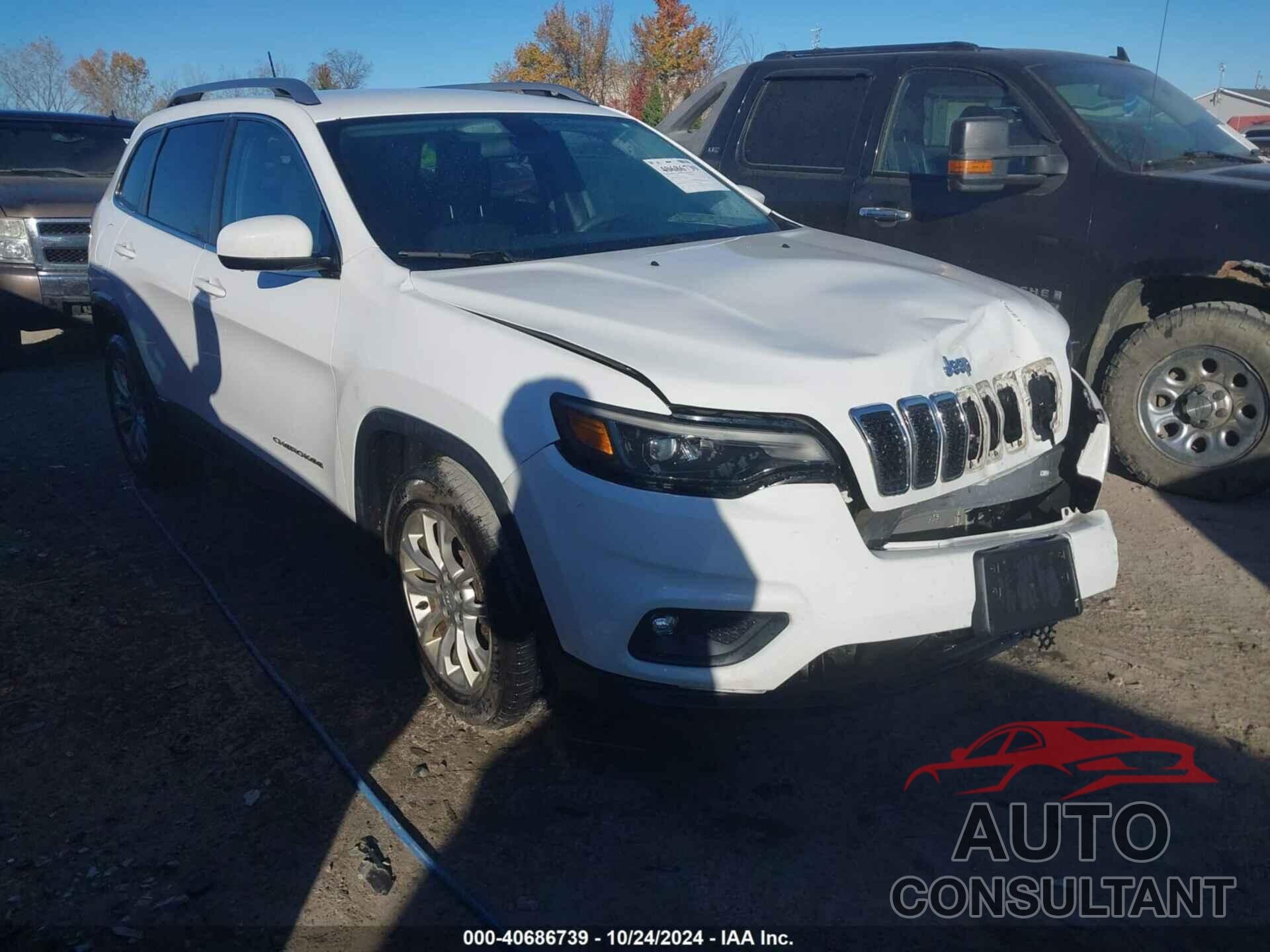 JEEP CHEROKEE 2019 - 1C4PJLCB1KD365955