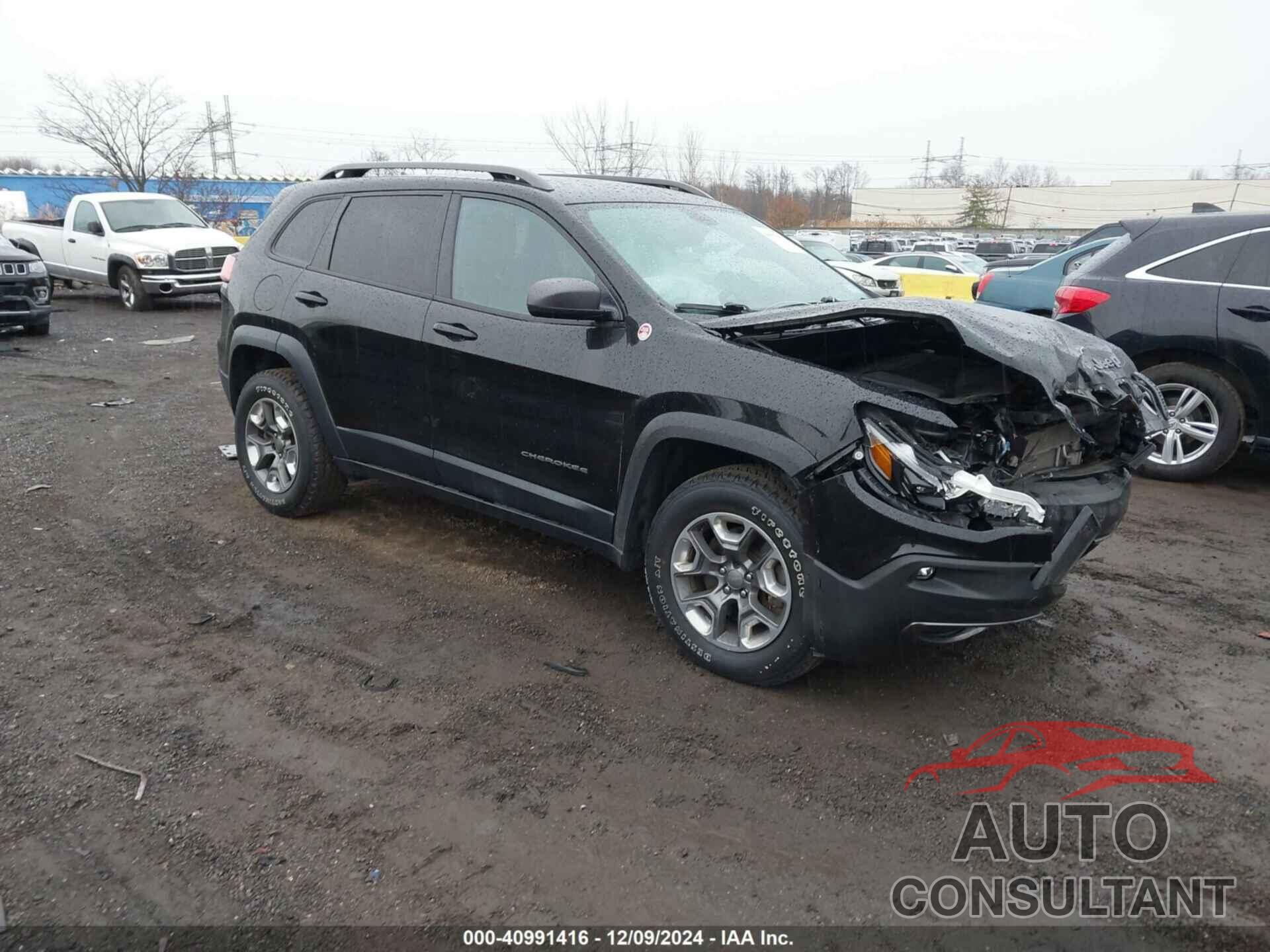 JEEP CHEROKEE 2019 - 1C4PJMBX8KD440816