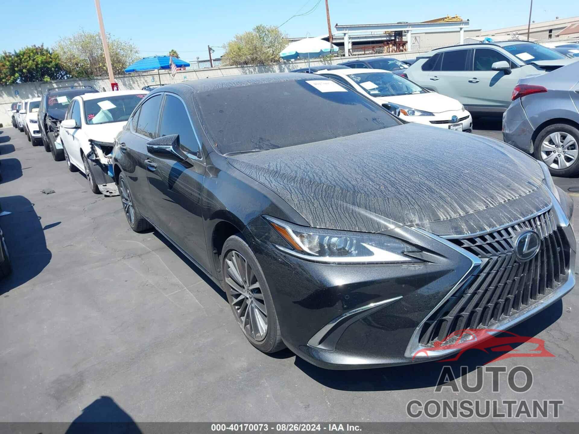 LEXUS ES 300H 2024 - 58ADA1C12RU040034