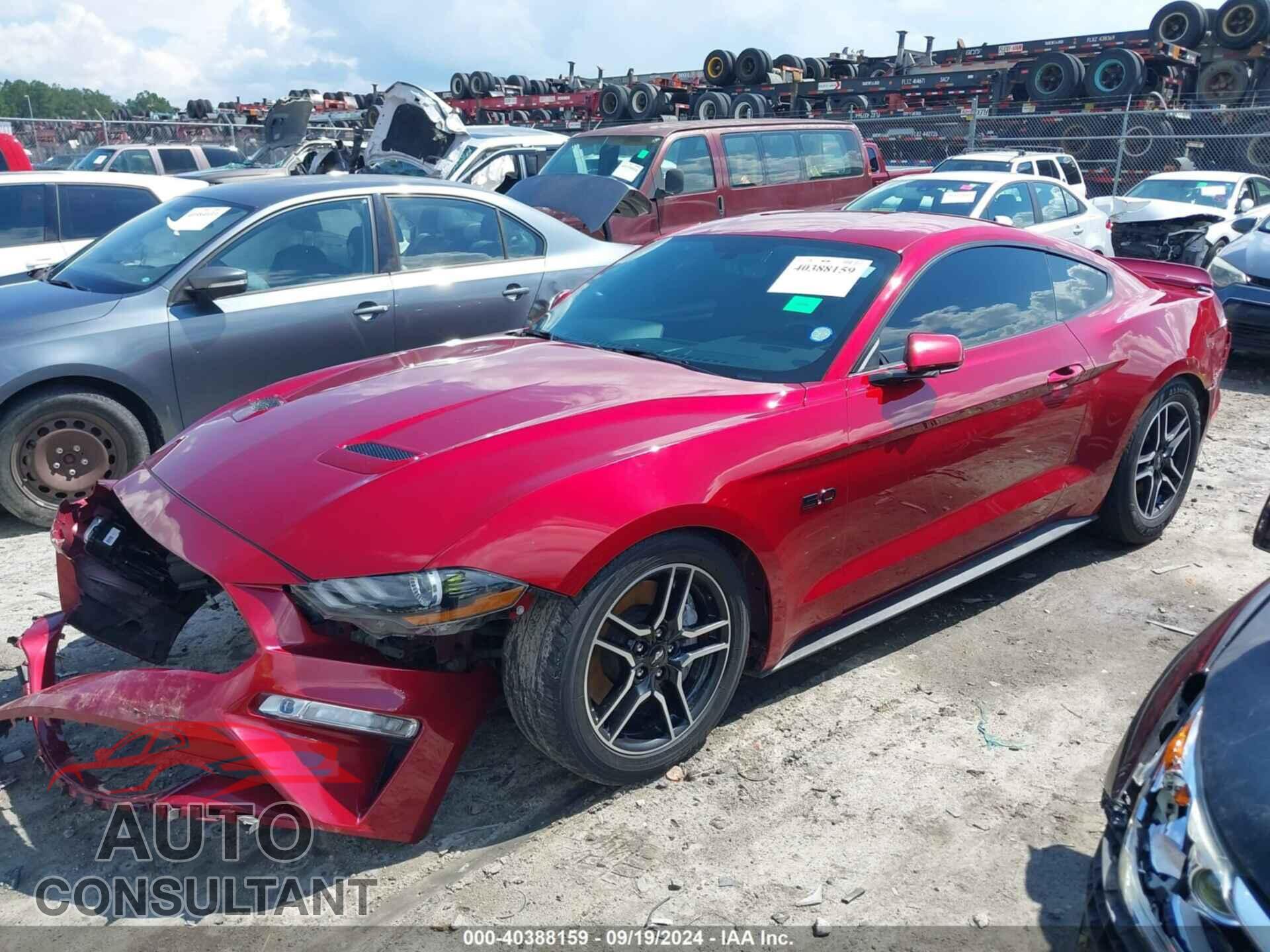 FORD MUSTANG 2019 - 1FA6P8CF1K5201051