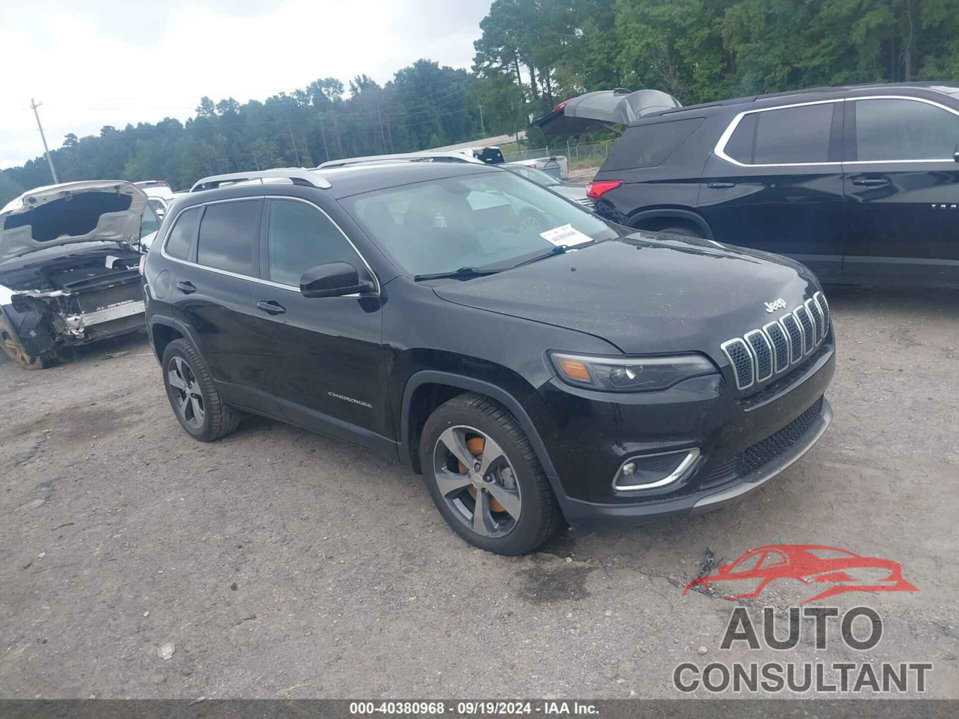 JEEP CHEROKEE 2019 - 1C4PJLDB6KD201700