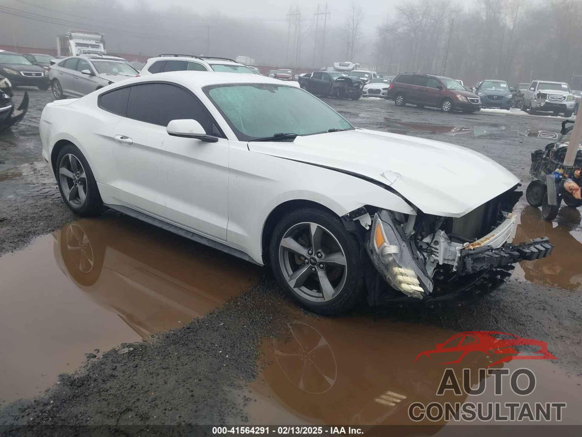 FORD MUSTANG 2015 - 1FA6P8AM6F5346237
