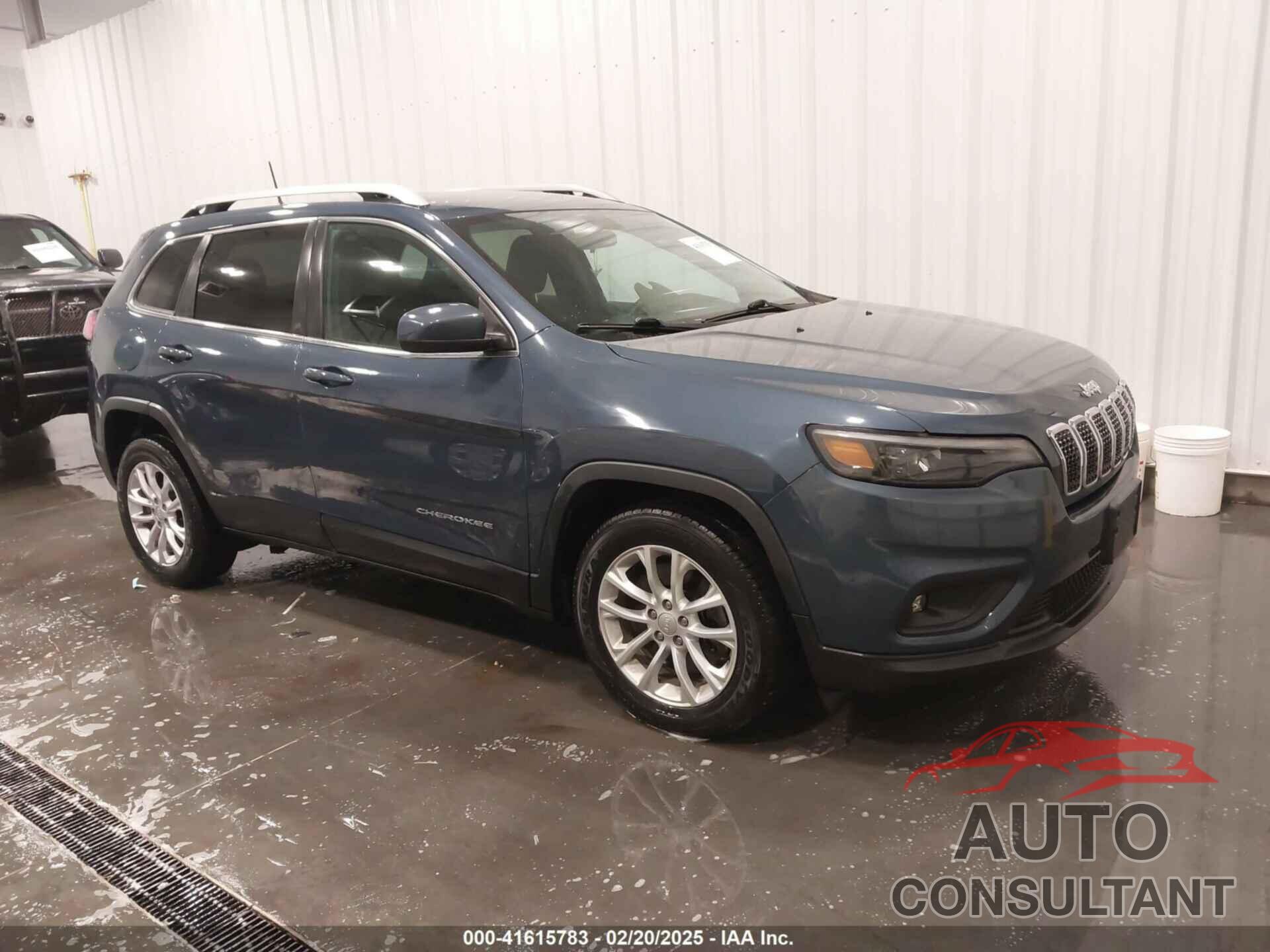 JEEP CHEROKEE 2019 - 1C4PJLCB0KD434554