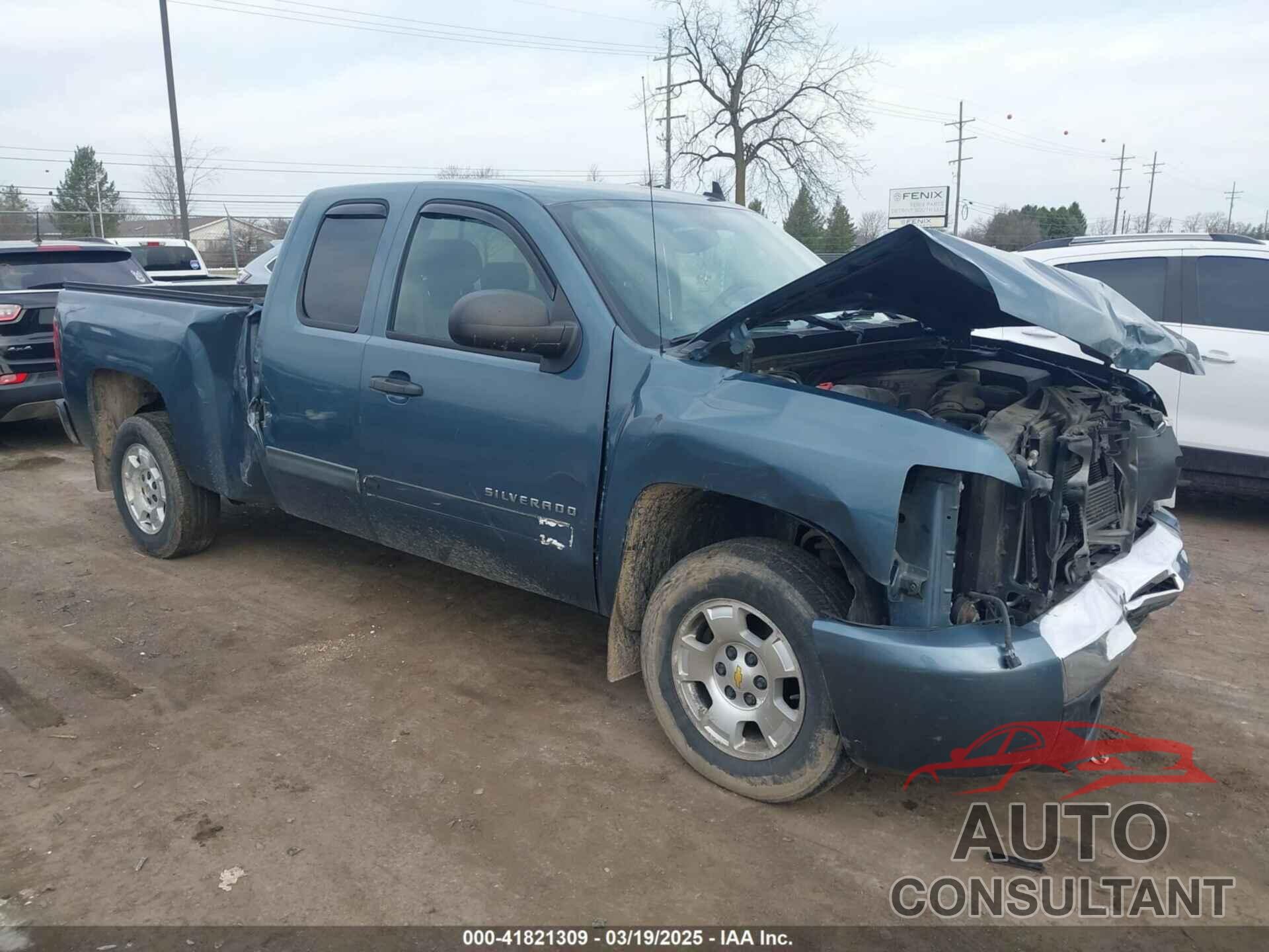 CHEVROLET SILVERADO 1500 2010 - 1GCSCSE09AZ206340