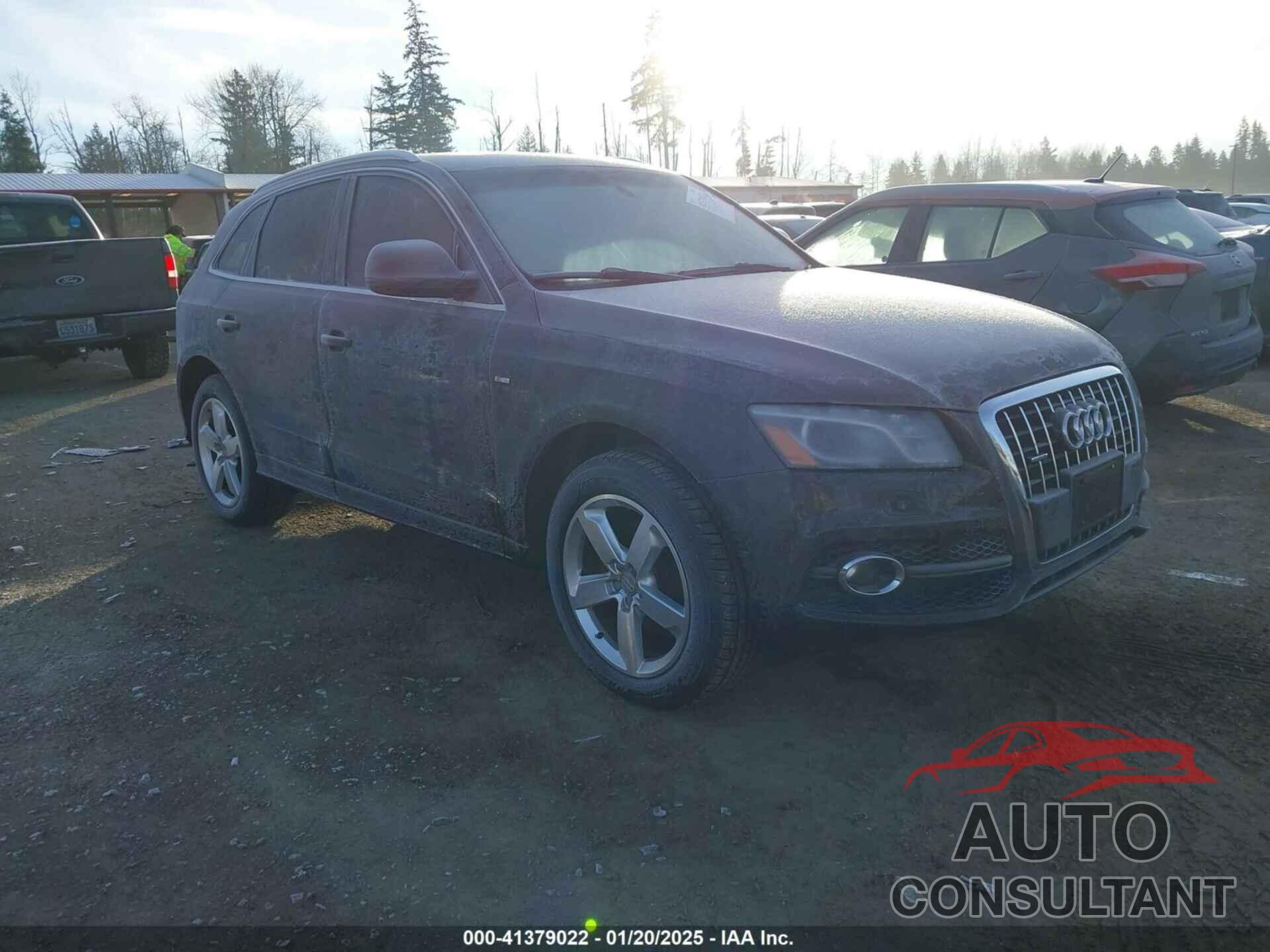 AUDI Q5 2011 - WA1DKAFP9BA031566