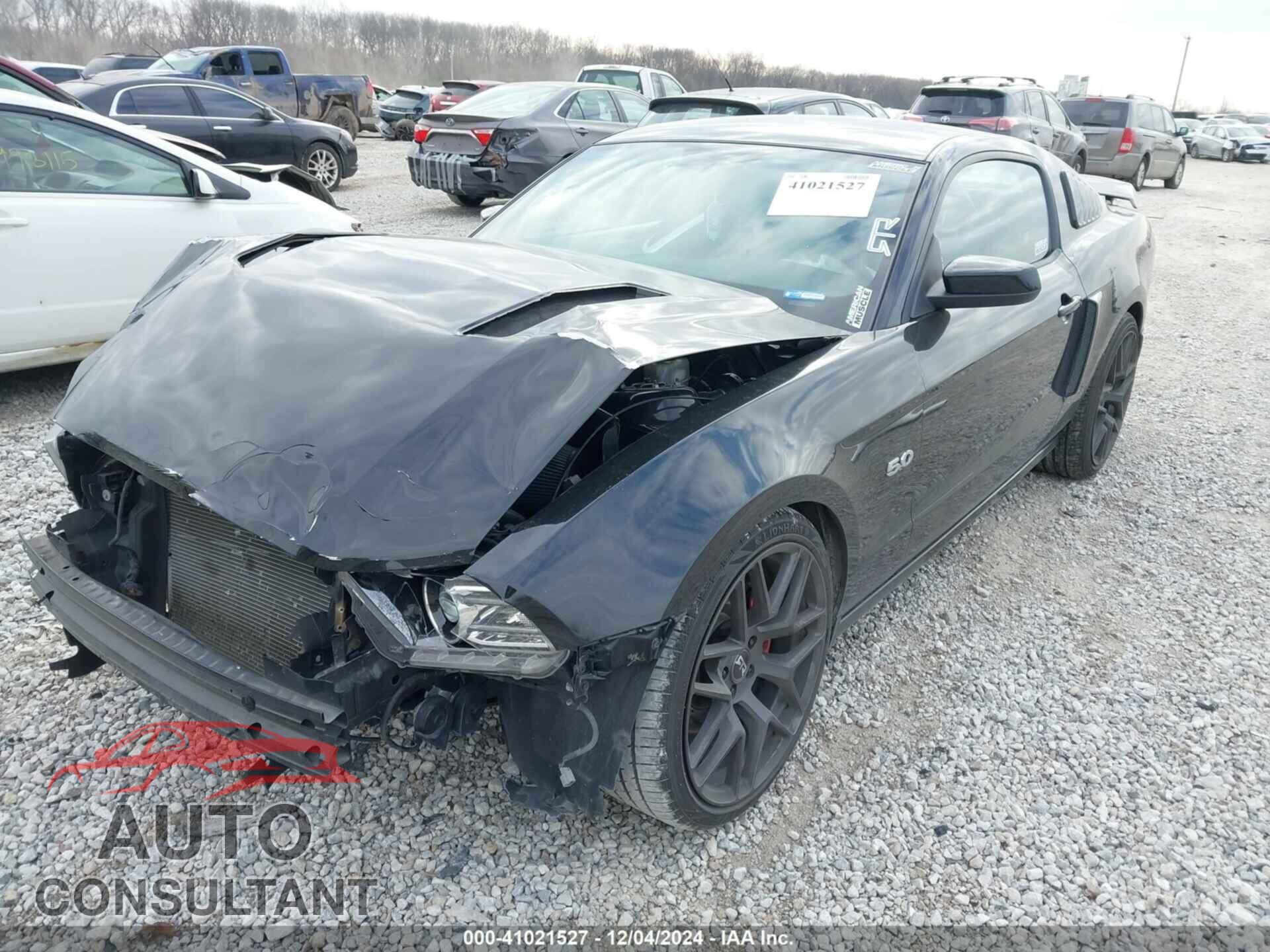 FORD MUSTANG 2013 - 1ZVBP8CF9D5233318