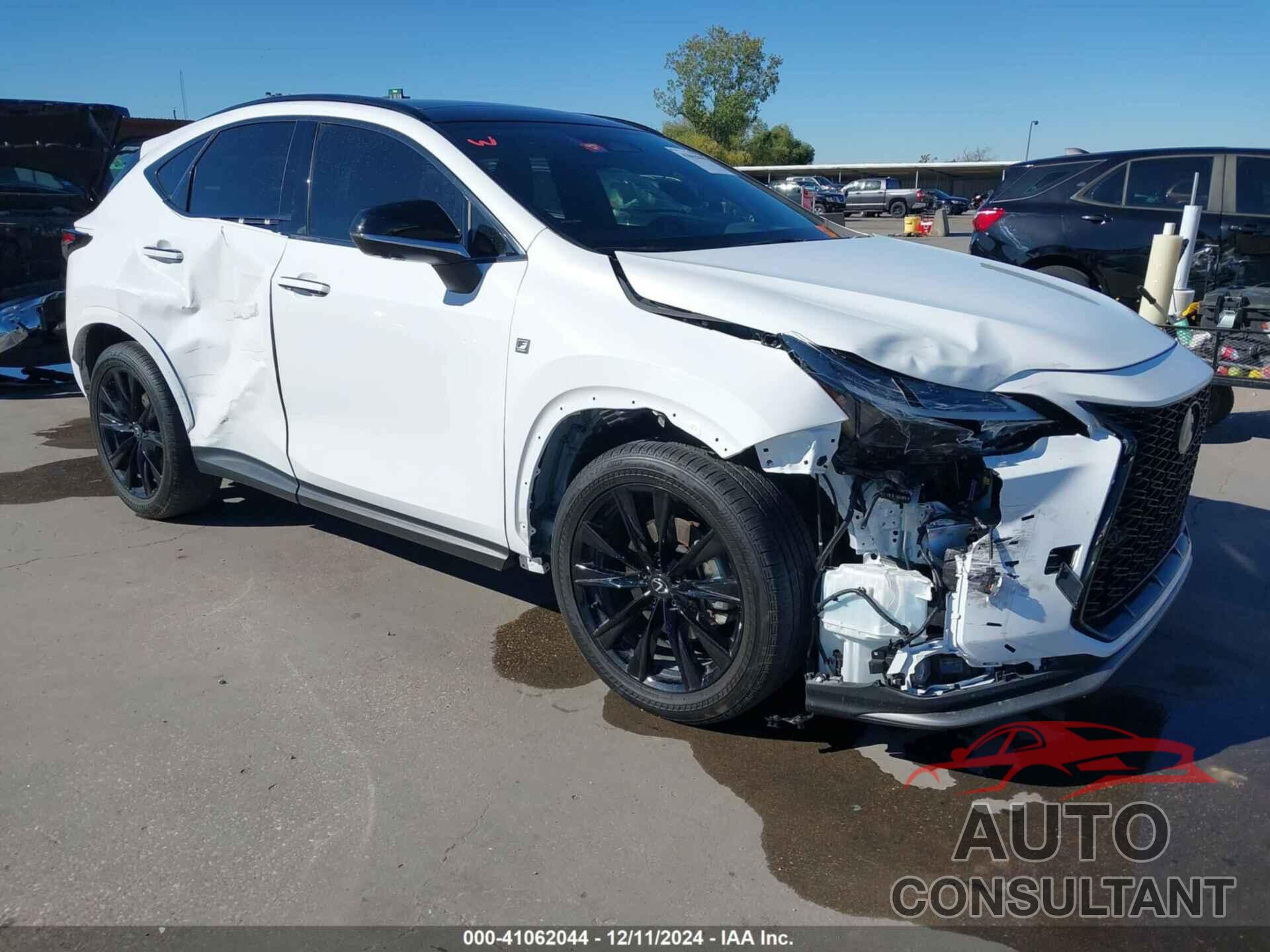 LEXUS NX 350 2024 - 2T2KGCEZ5RC038304