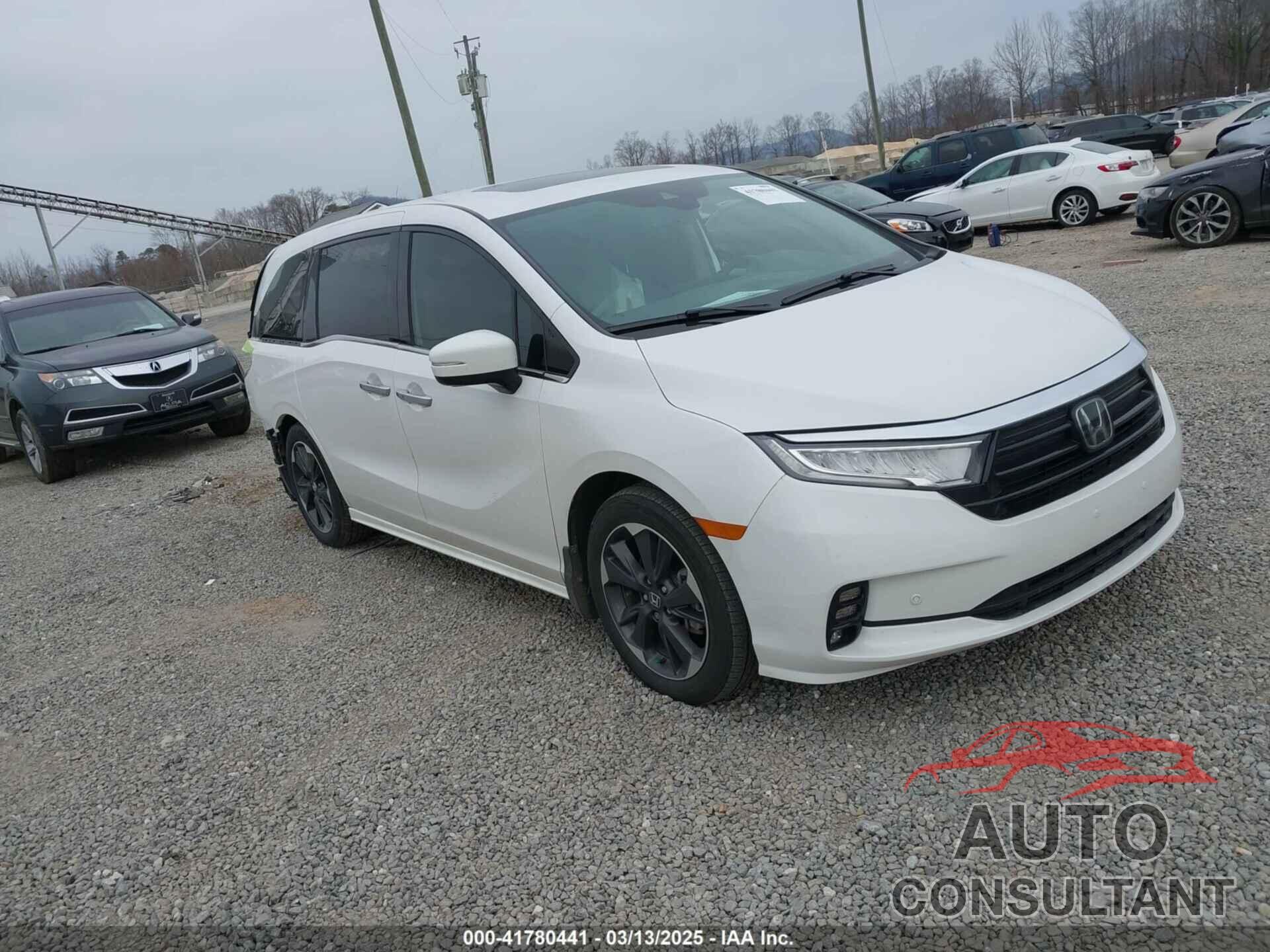 HONDA ODYSSEY 2024 - 5FNRL6H91RB036962