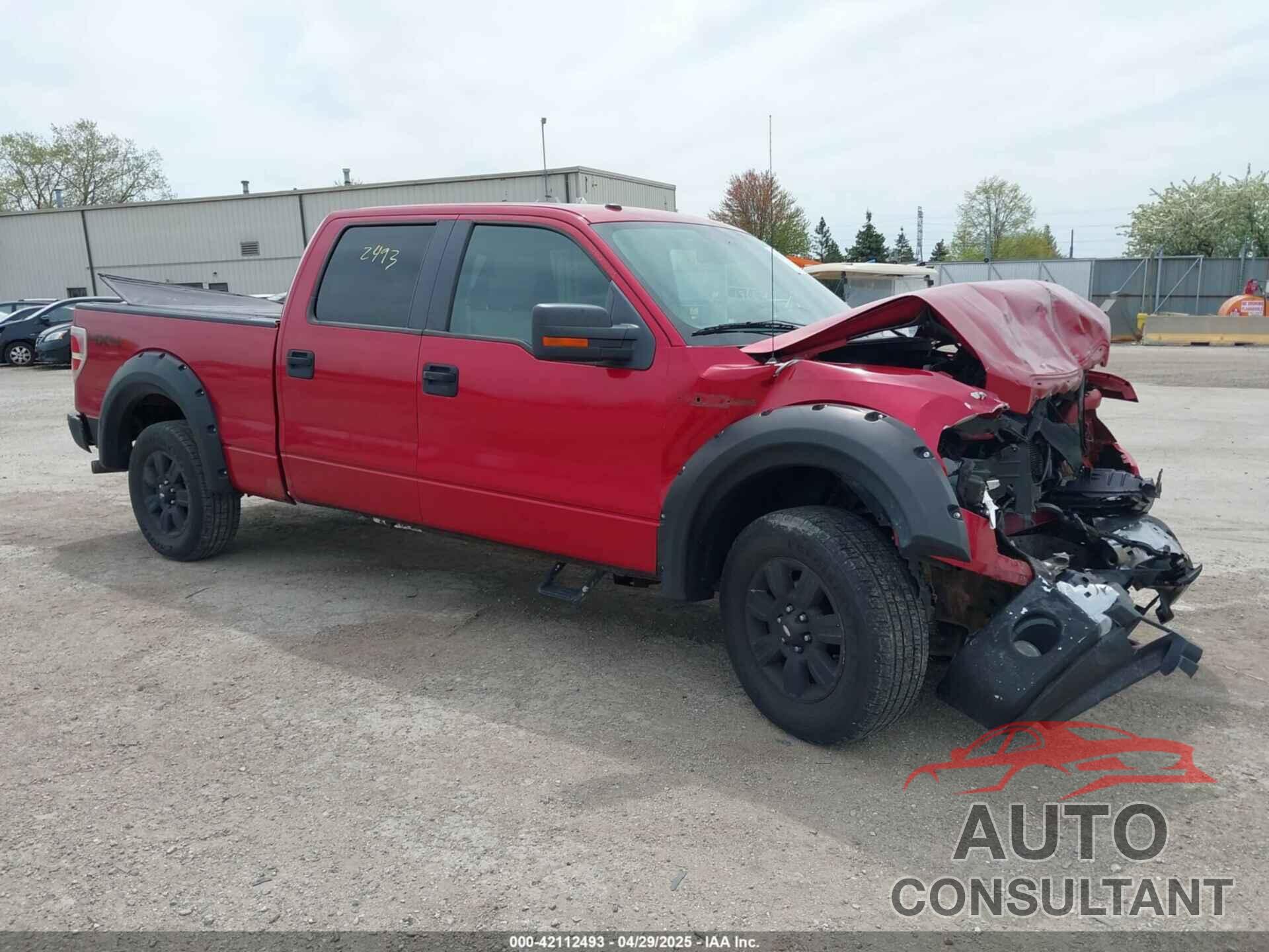 FORD F-150 2009 - 1FTRW14819FB03479