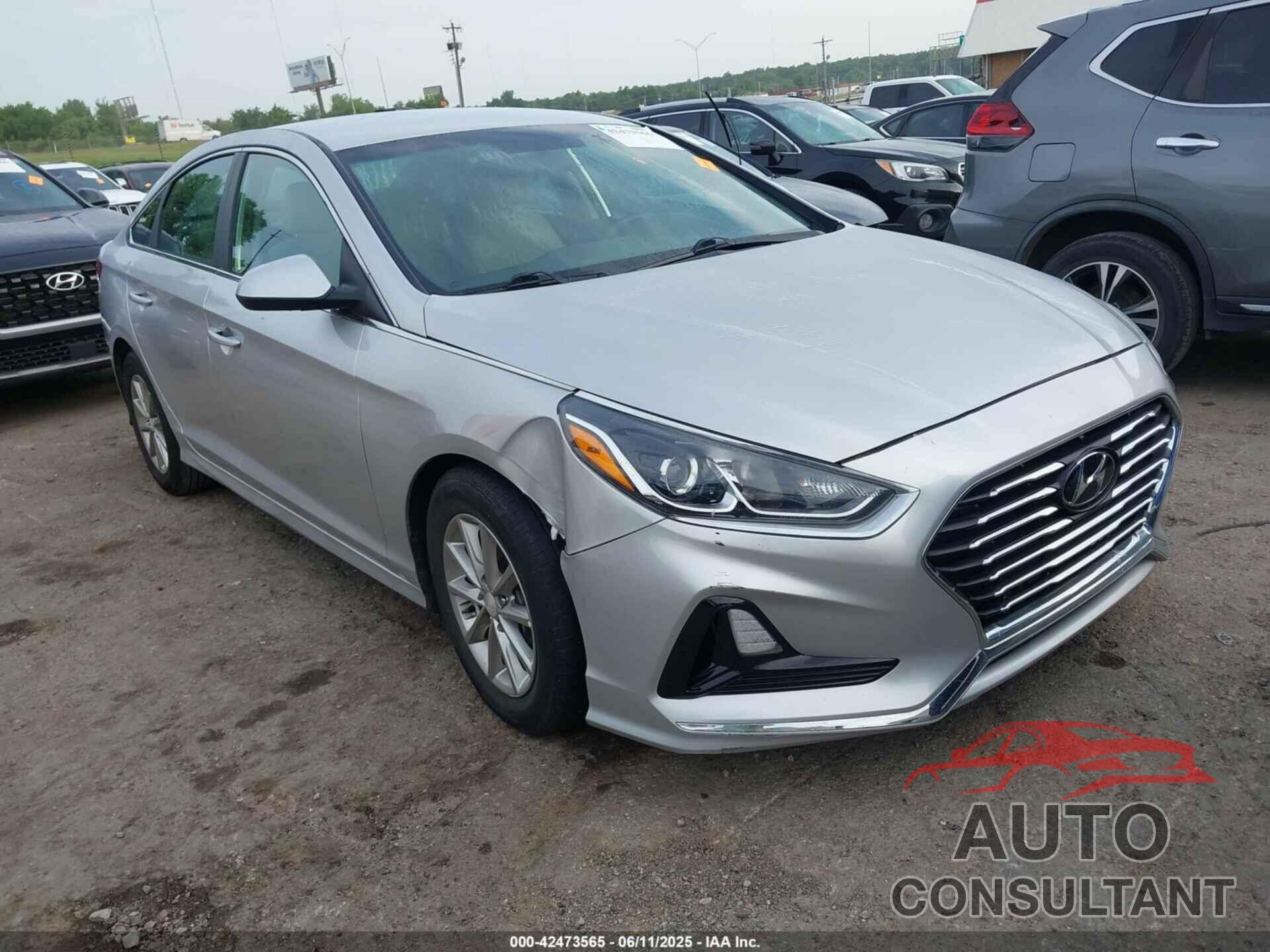 HYUNDAI SONATA 2019 - 5NPE24AF6KH798939