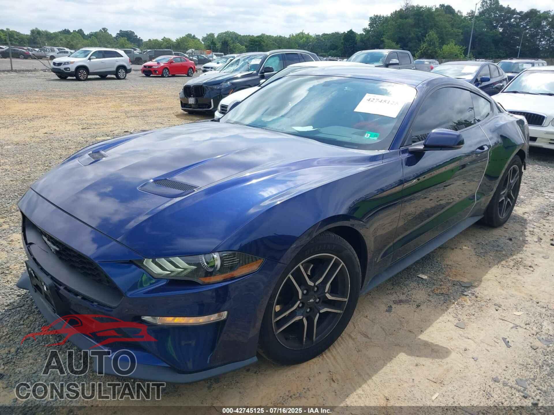 FORD MUSTANG 2019 - 1FA6P8TH7K5124624