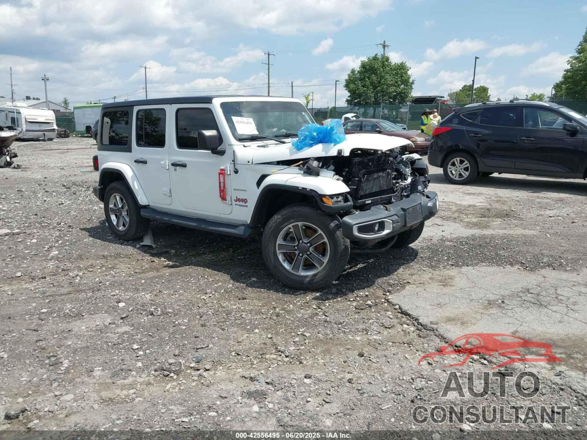 JEEP WRANGLER UNLIMITED 2020 - 1C4HJXEN3LW259581