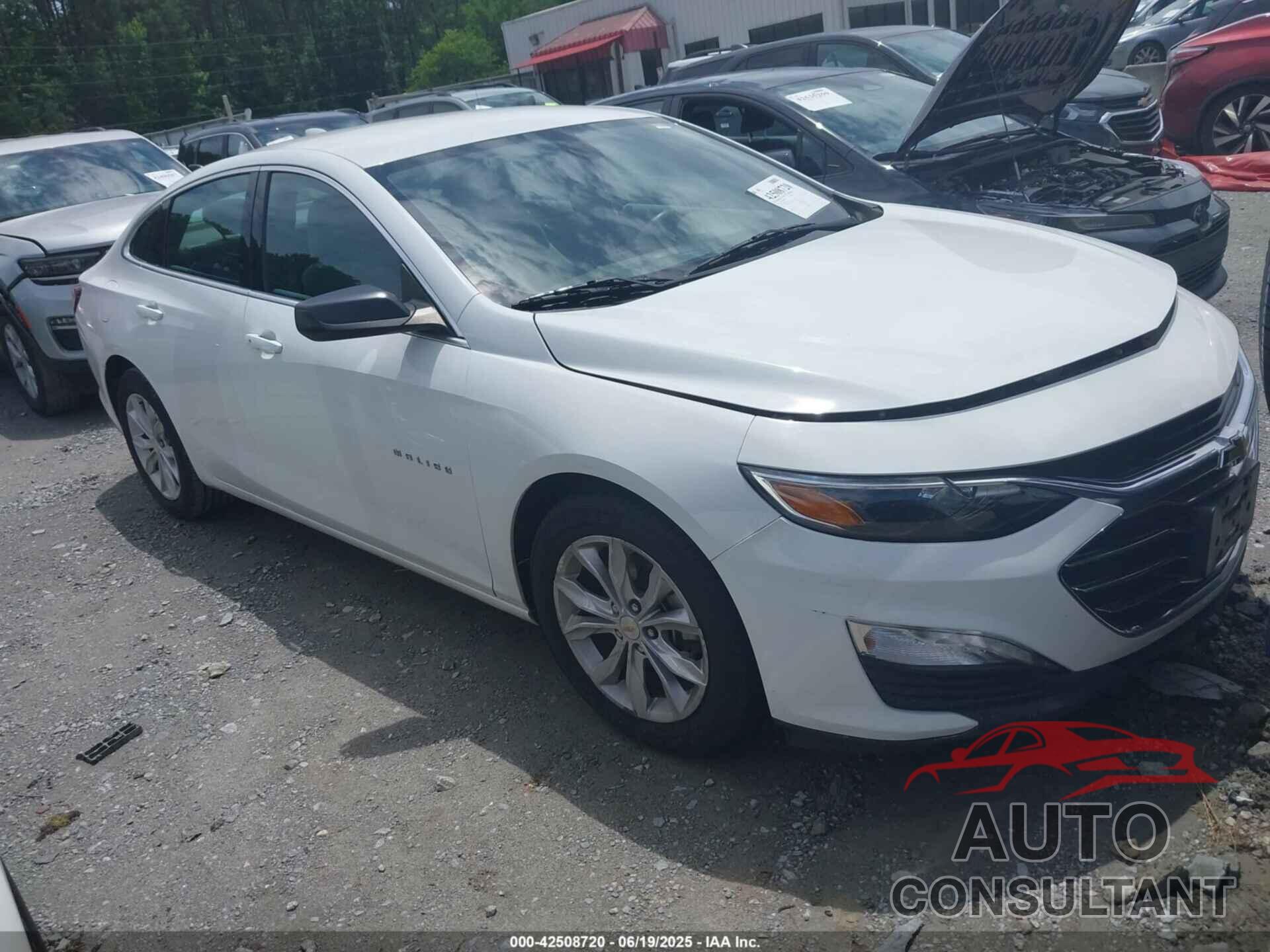 CHEVROLET MALIBU 2022 - 1G1ZD5ST8NF127513