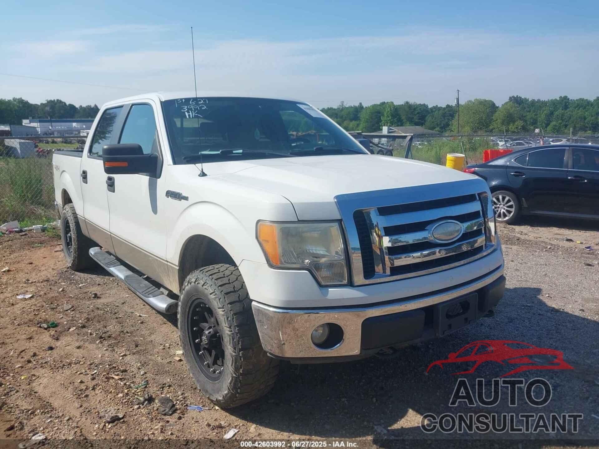 FORD F-150 2009 - 1FTPW14V49FB30463