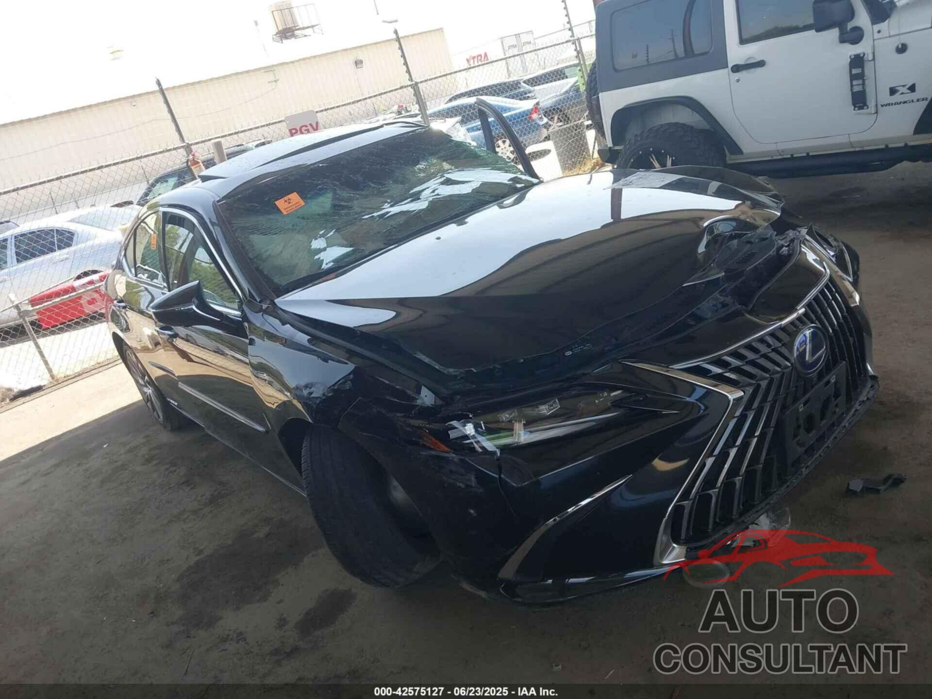 LEXUS ES 300H 2022 - 58AEA1C12NU015634