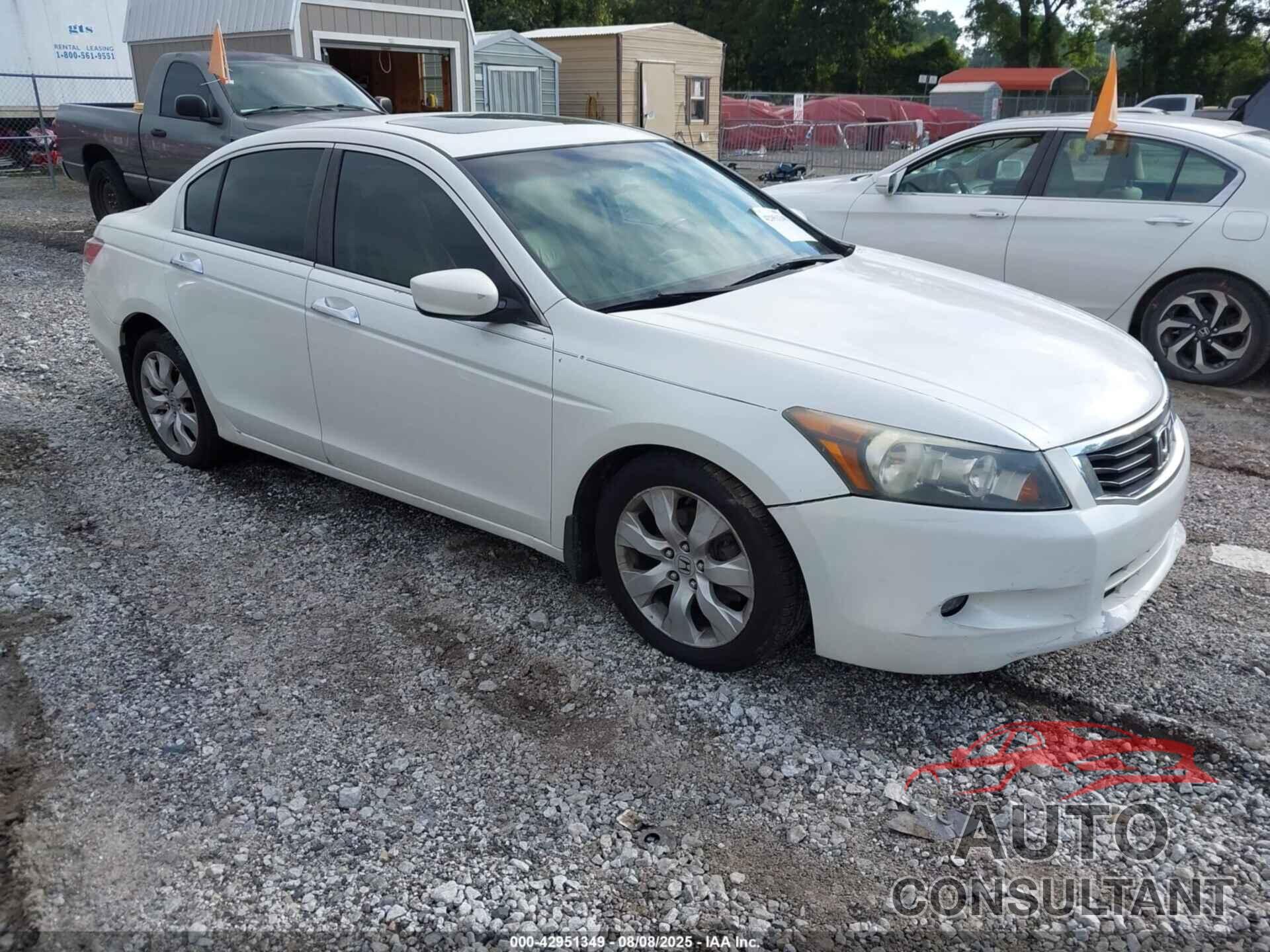 HONDA ACCORD 2010 - 5KBCP3F8XAB003516