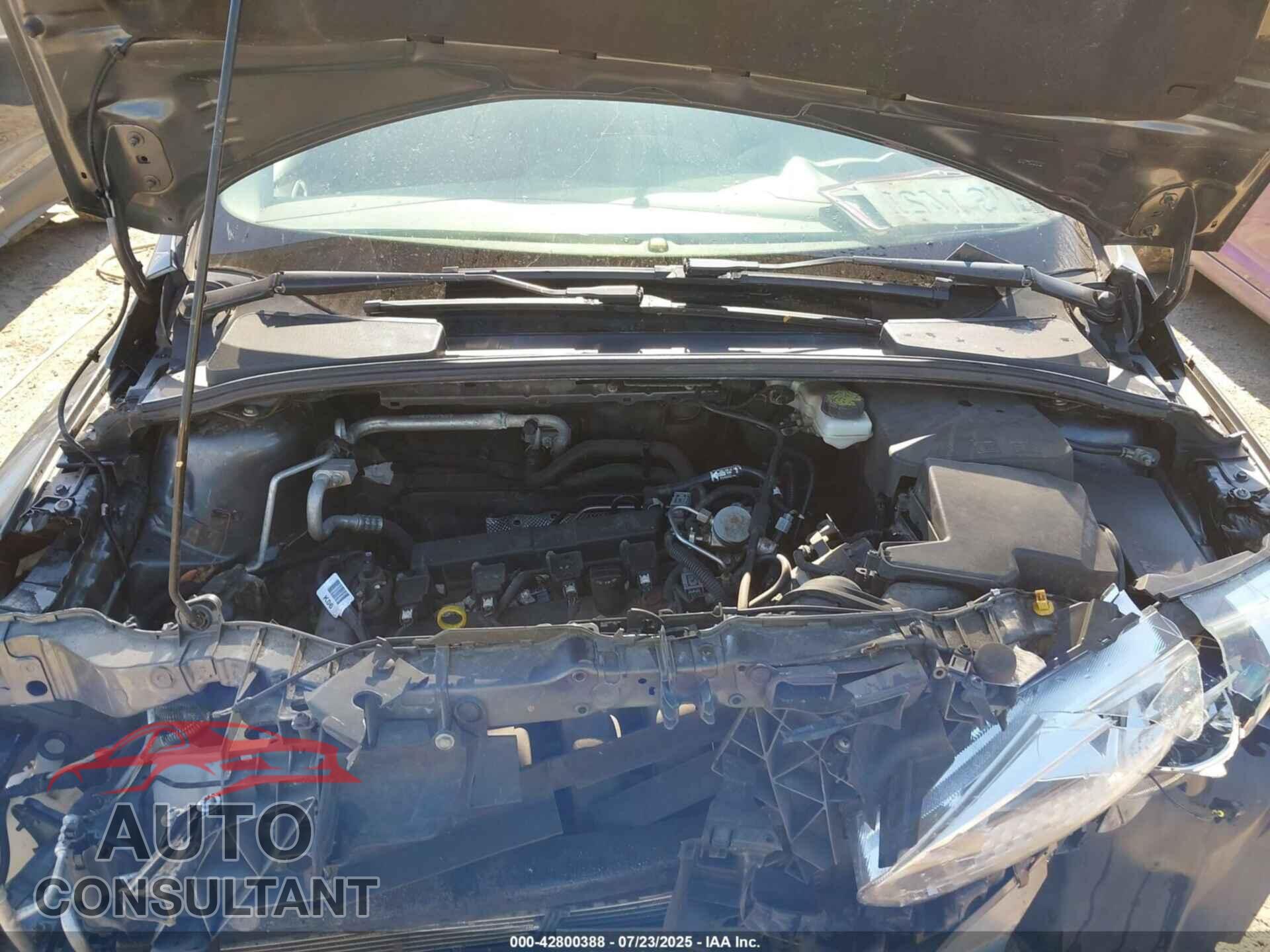 FORD FOCUS 2017 - 1FADP3F20HL221993