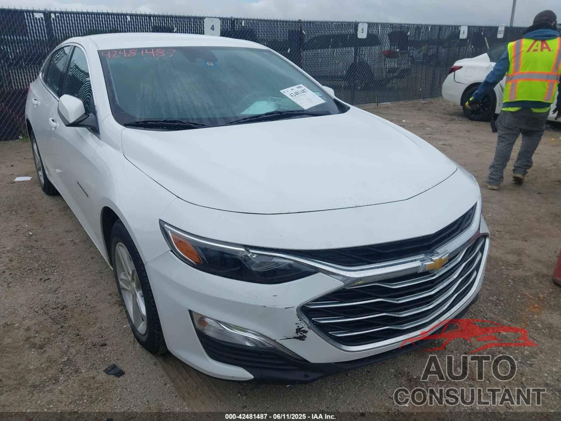 CHEVROLET MALIBU 2019 - 1G1ZC5ST0KF210075