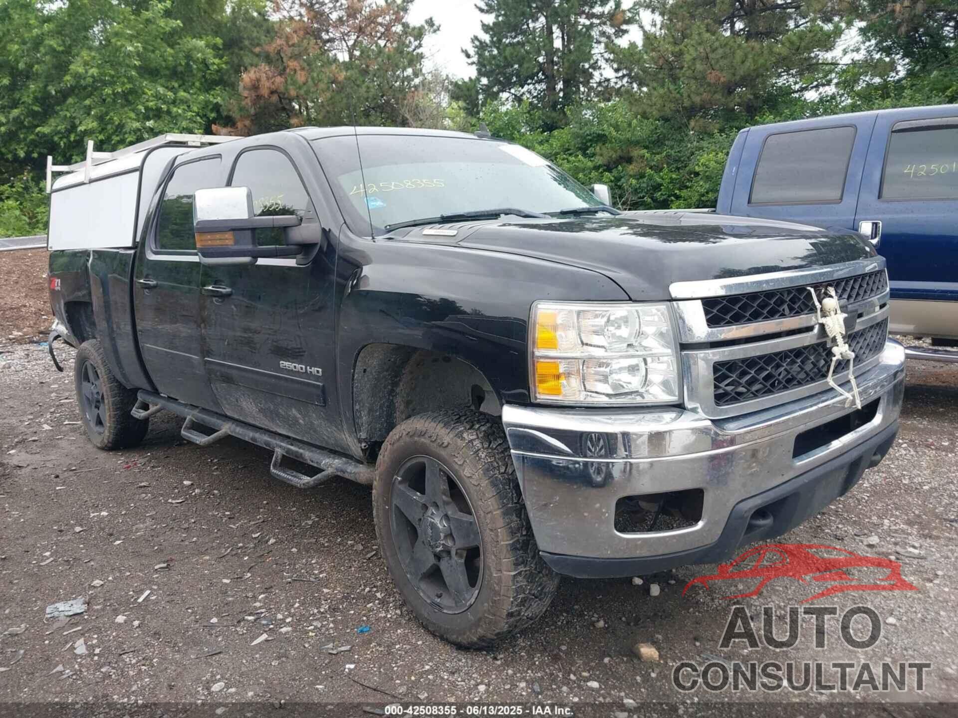 CHEVROLET SILVERADO 2500HD 2011 - 1GC1KYC84BF175821