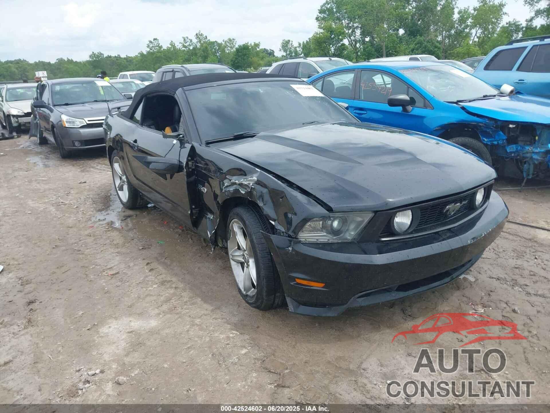 FORD MUSTANG 2012 - 1ZVBP8FF4C5213312